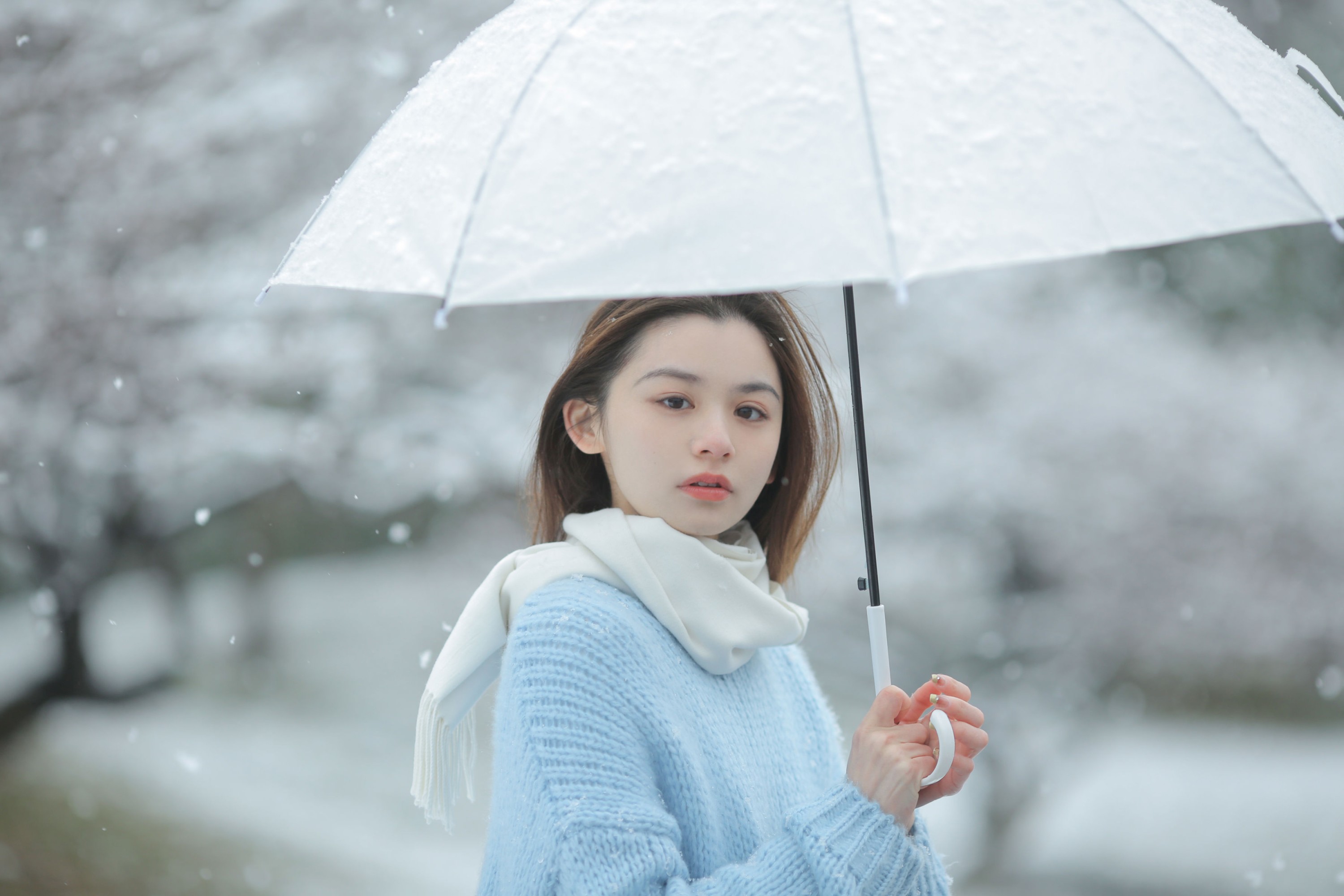 《我画一只飞鸟，衔着白雪飞去》[11P]