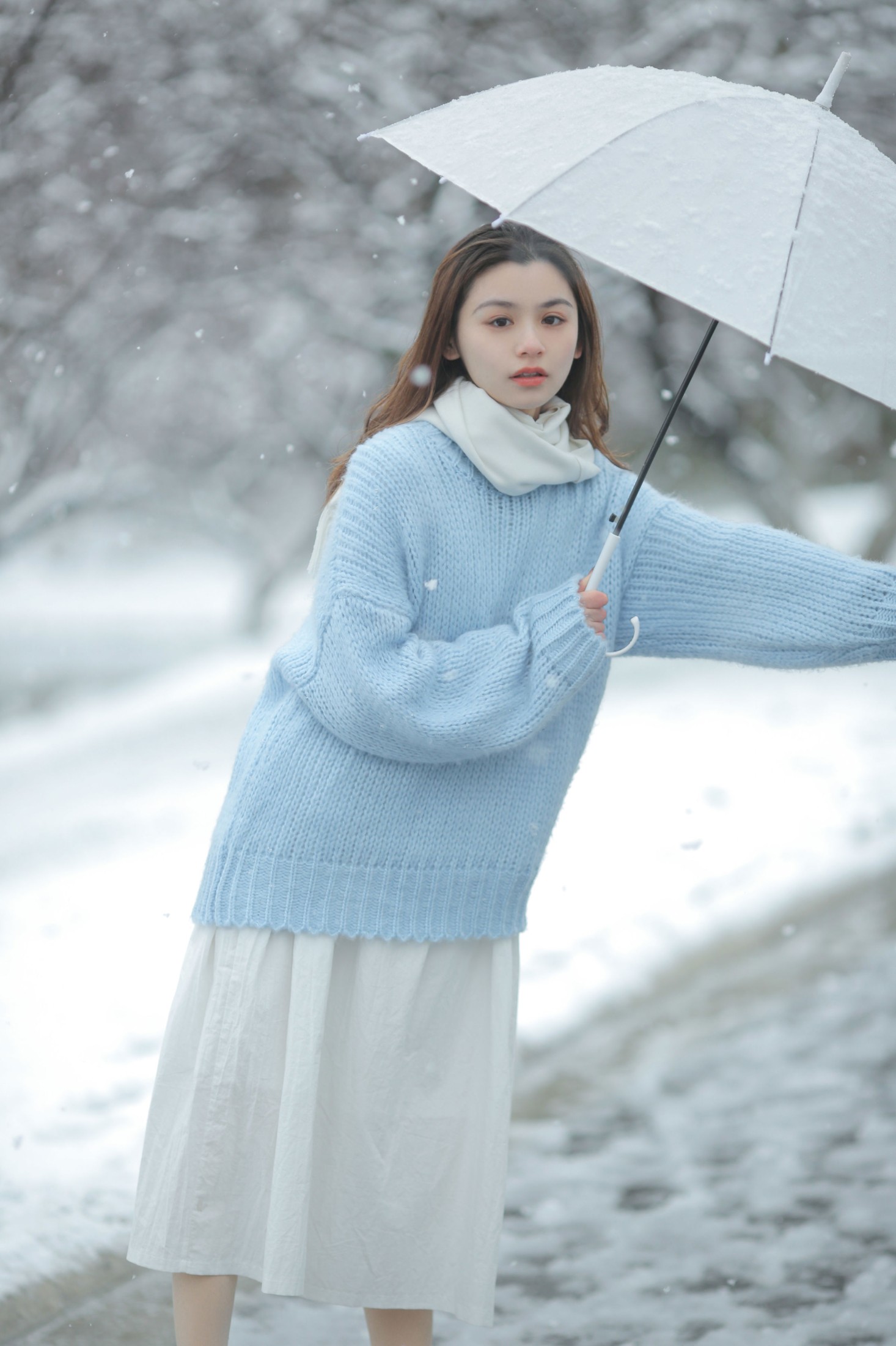 《我画一只飞鸟，衔着白雪飞去》[11P]