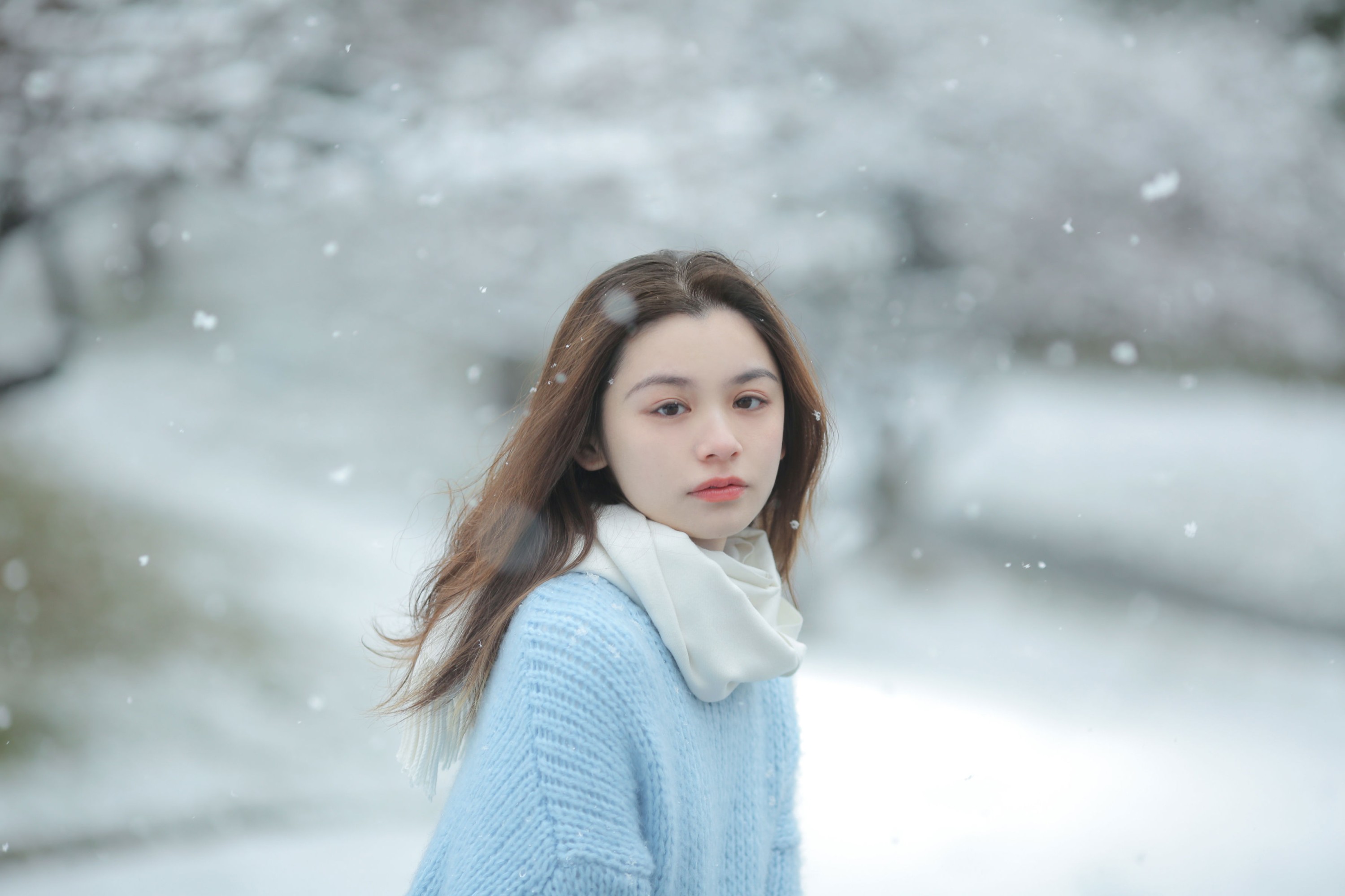 《我画一只飞鸟，衔着白雪飞去》[11P]