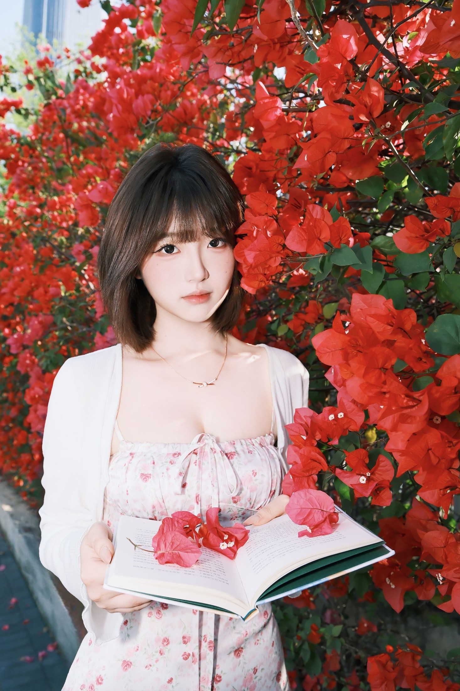 《她像是含苞待放的花骨朵》[12P]