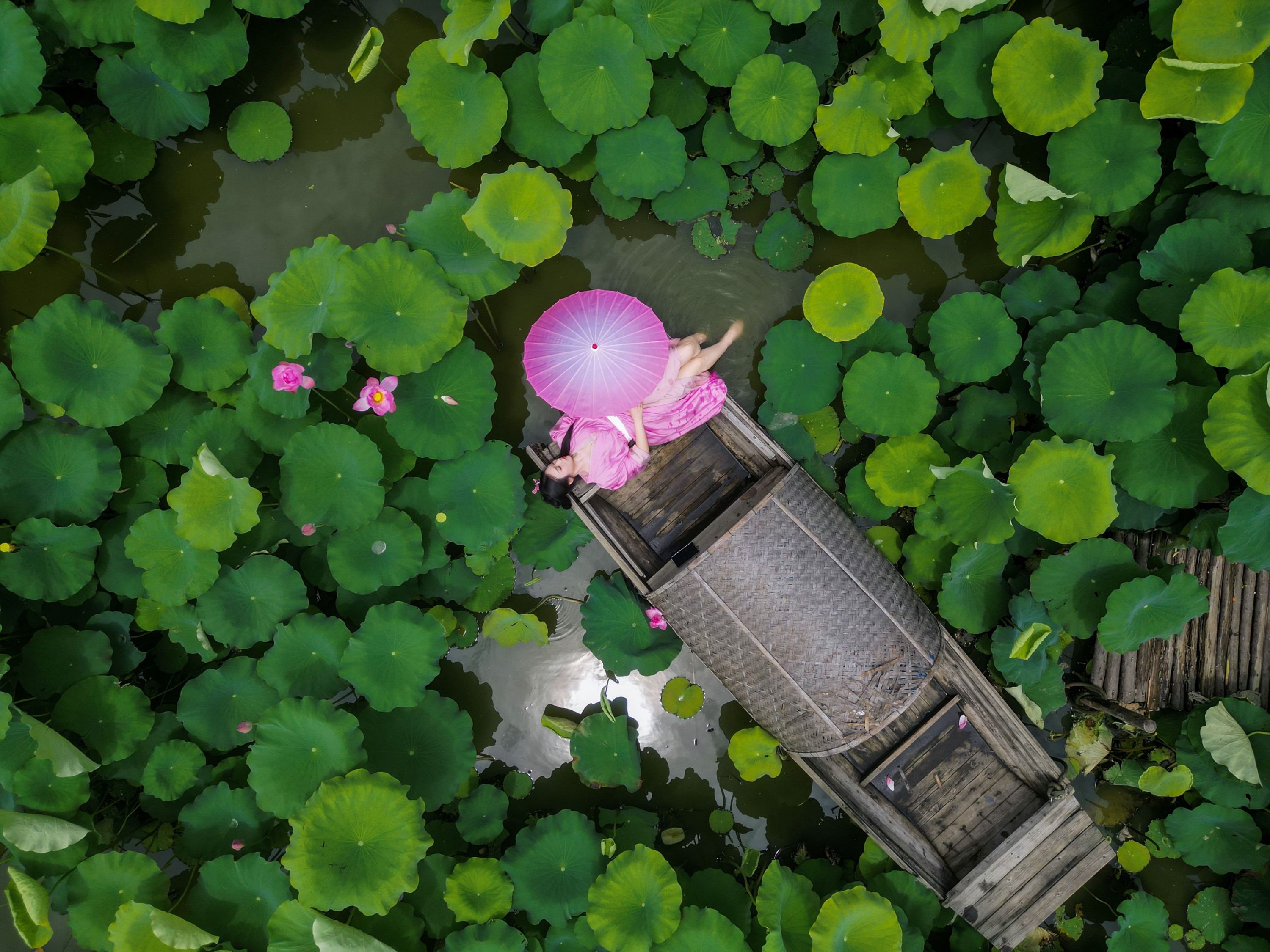 《兴尽晚回舟，误入藕花深处》[27P]