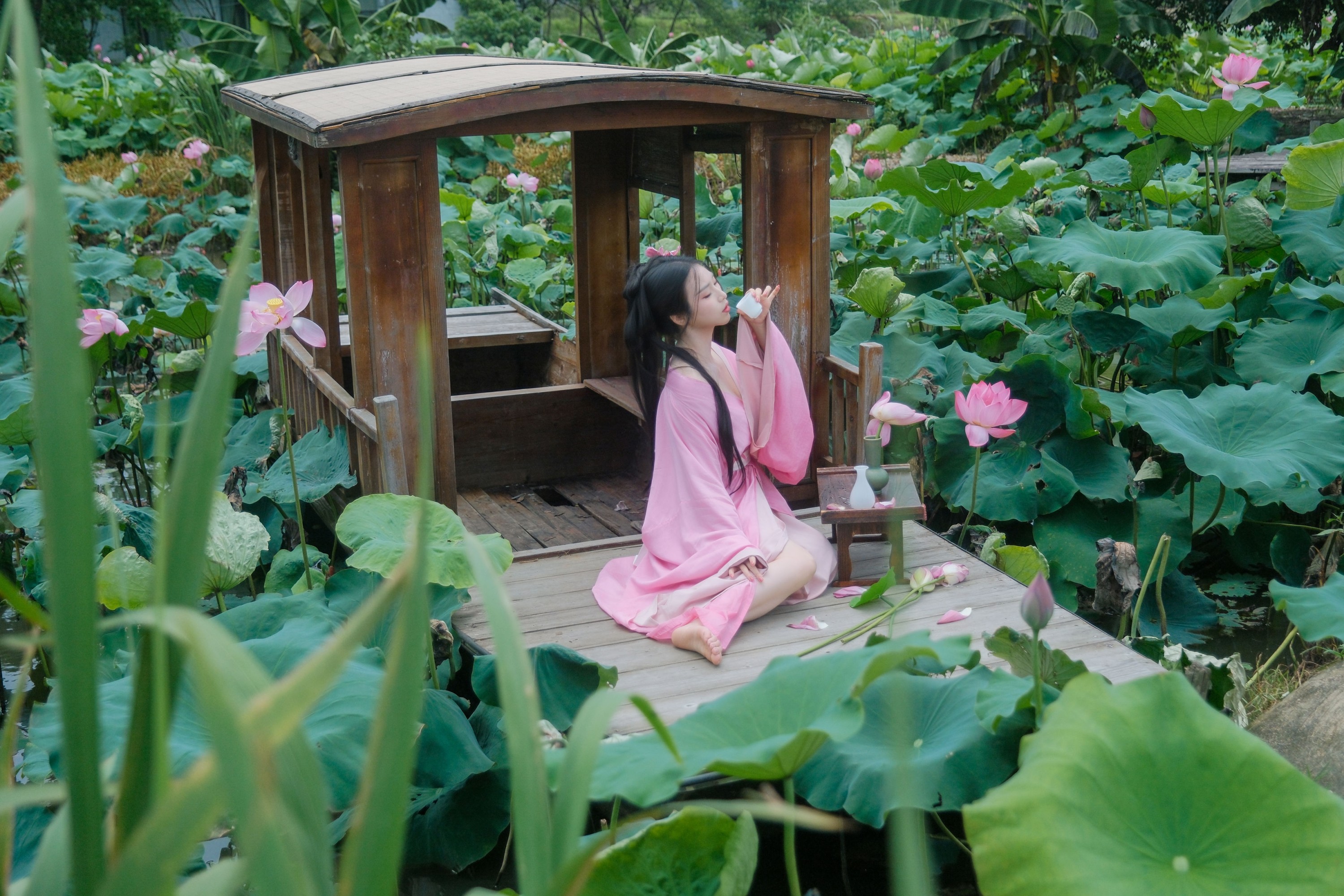 《兴尽晚回舟，误入藕花深处》[27P]
