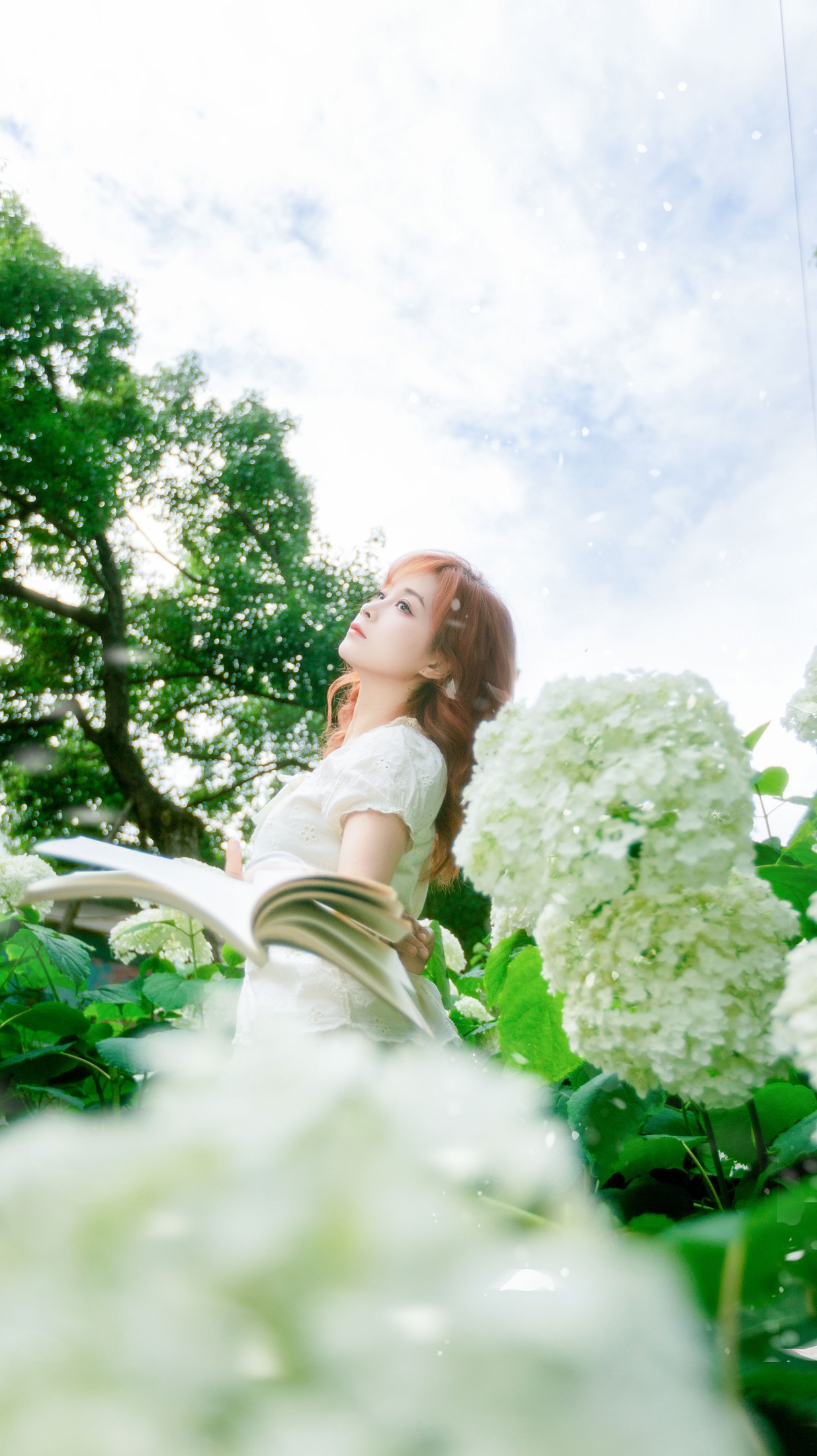 《风递花笺》[29P]