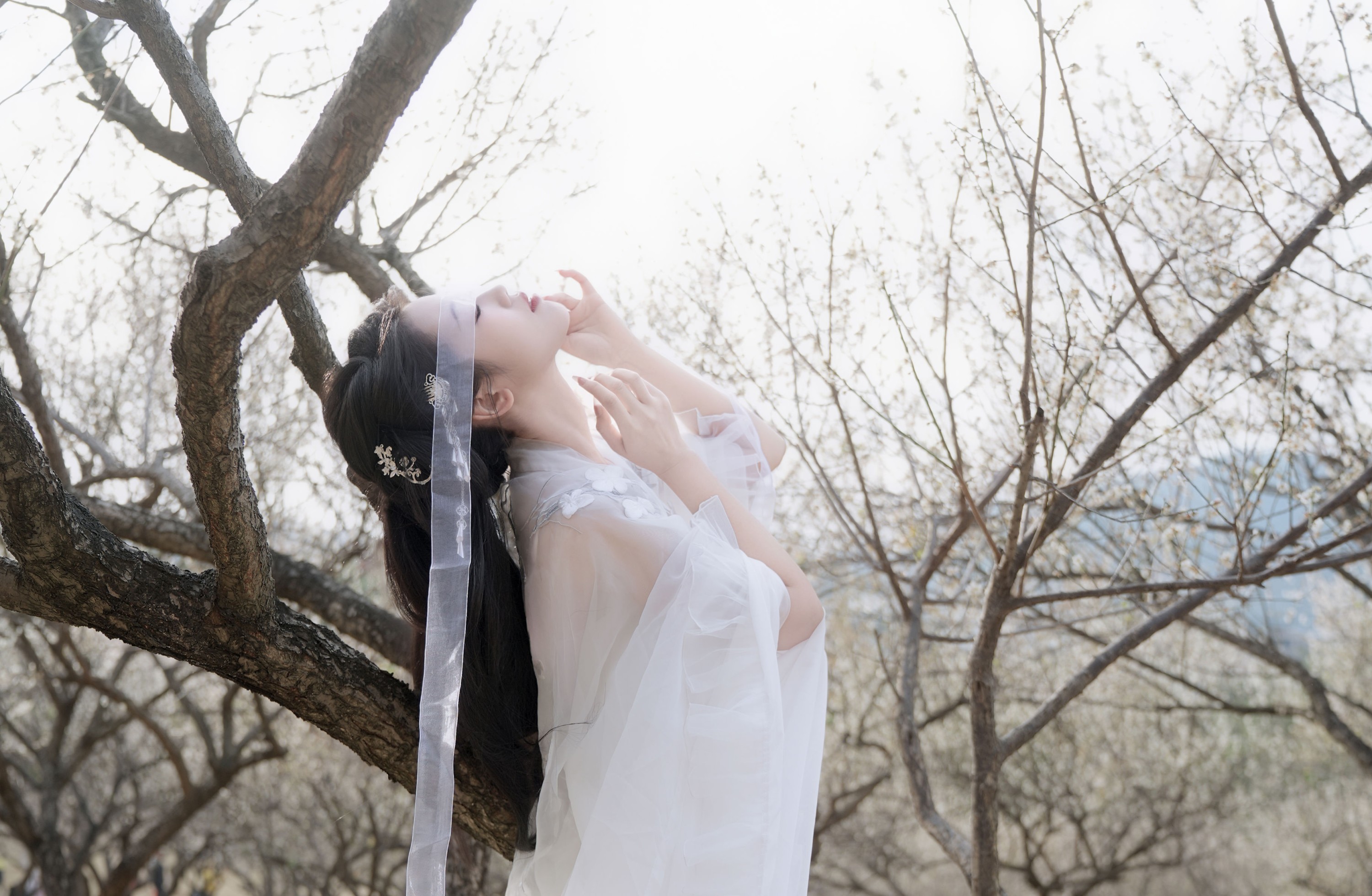 《白梅》[27P]