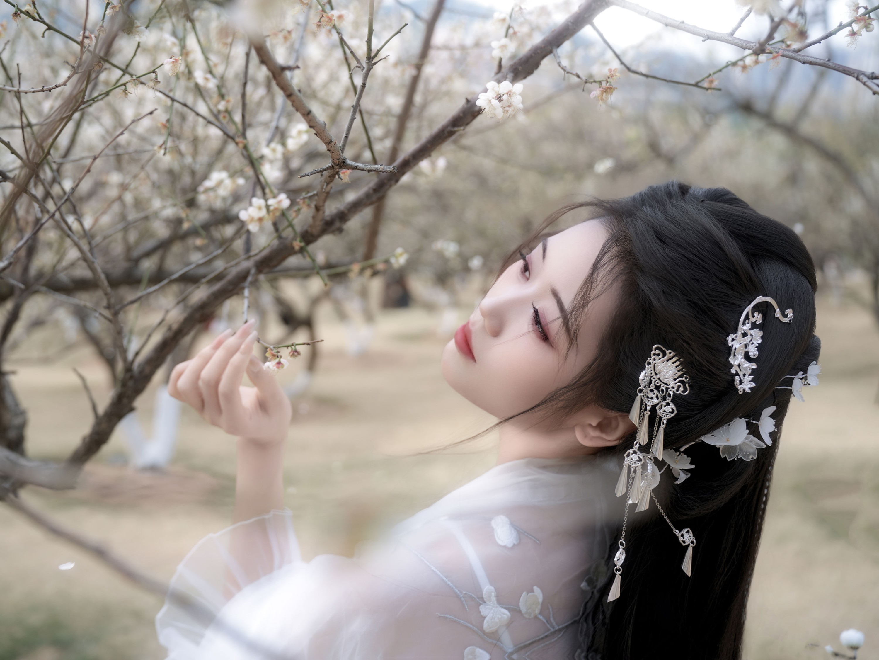 《白梅》[27P]