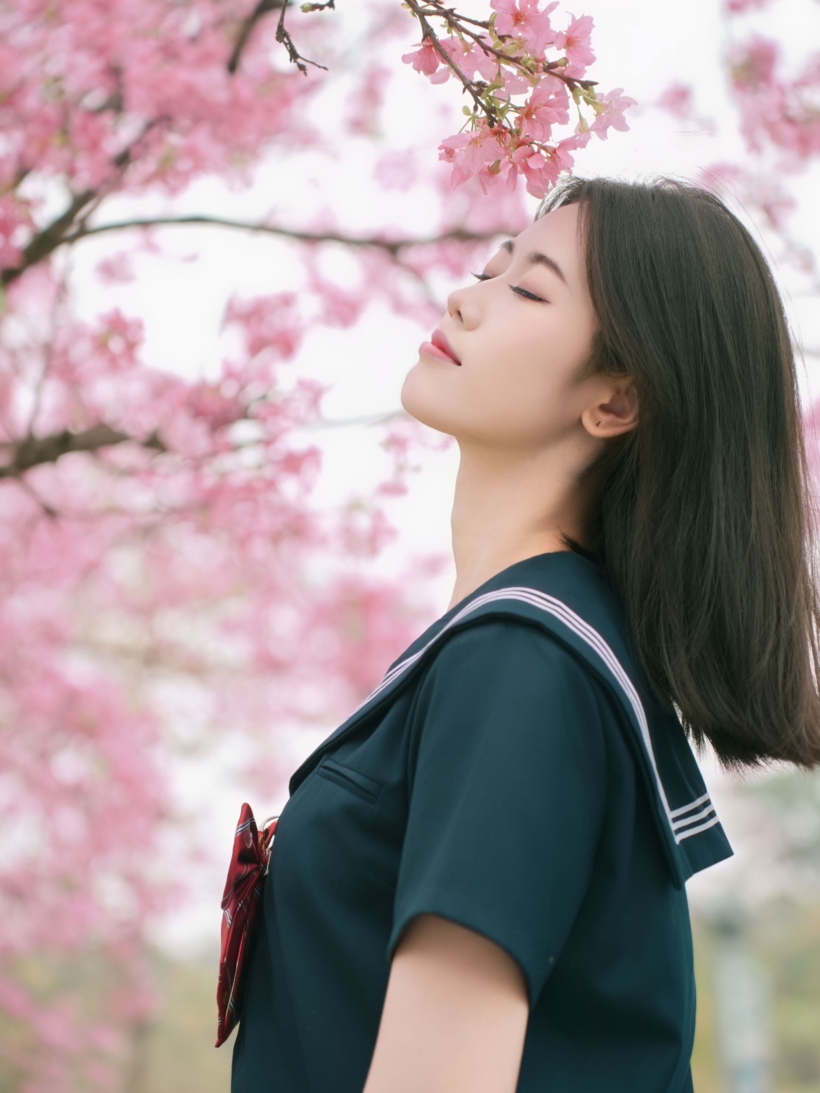 《樱花与jk》[12P]