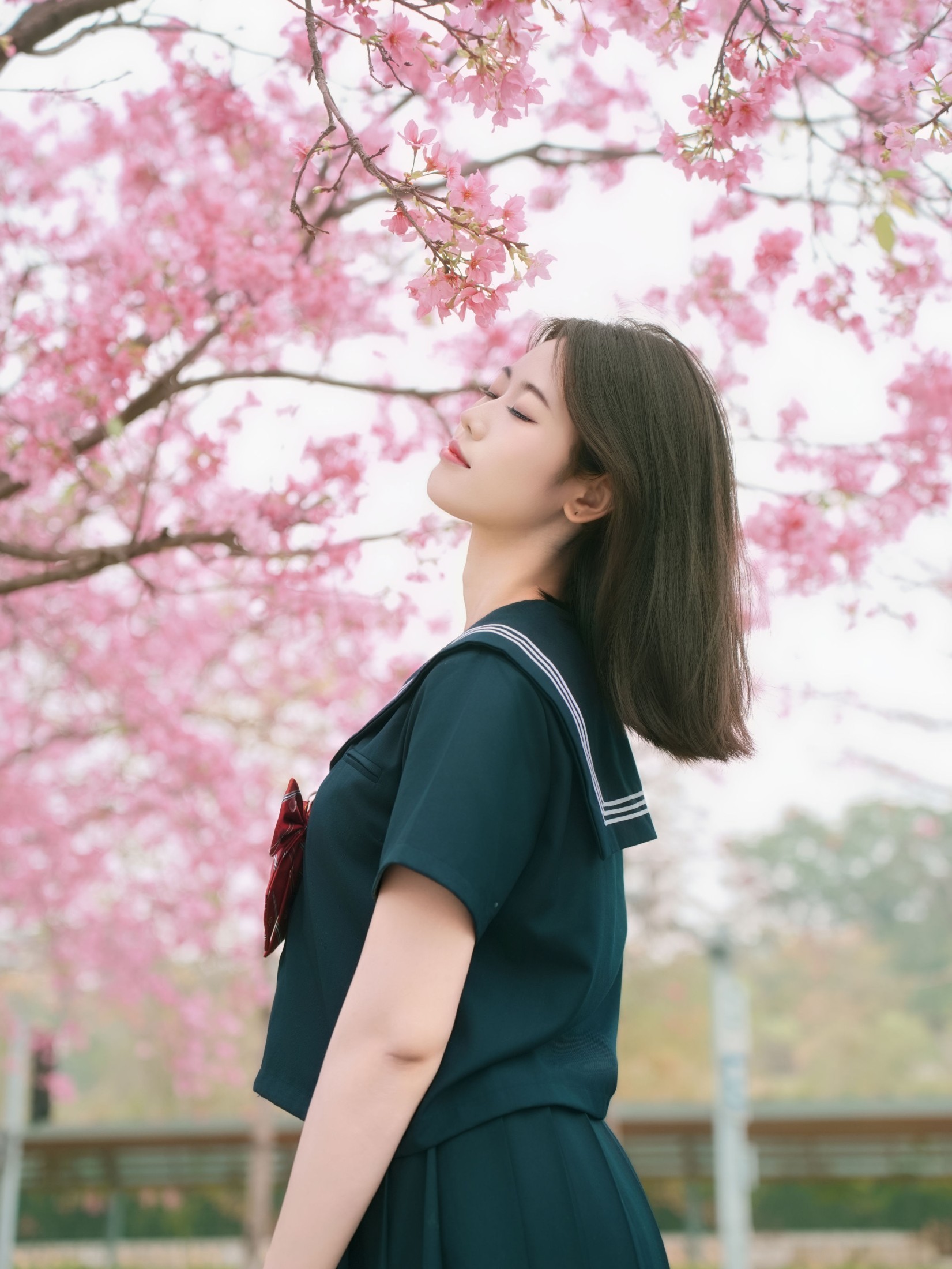 《樱花与jk》[12P]