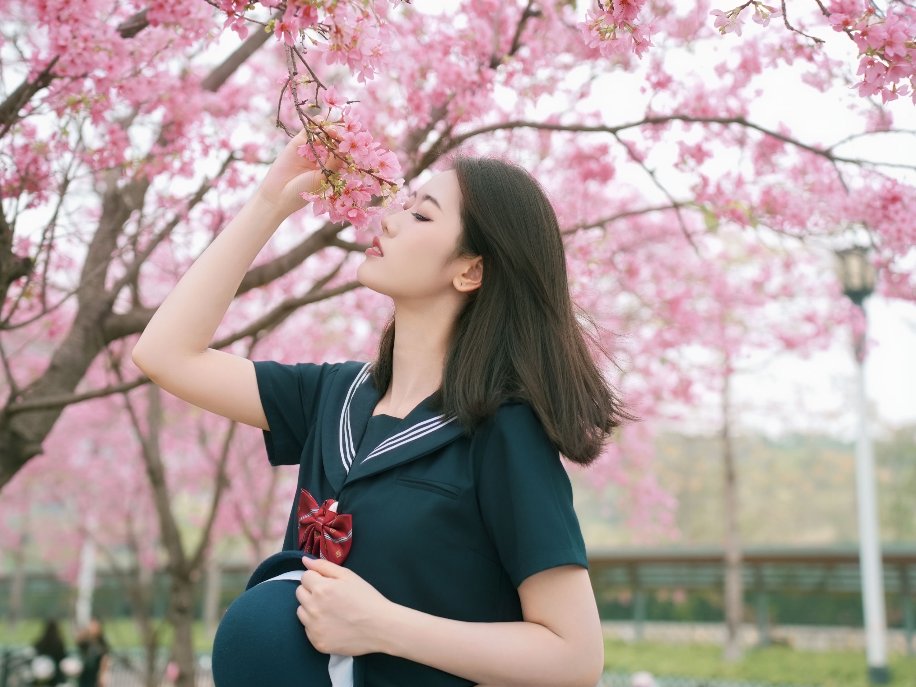 《樱花与jk》[12P]