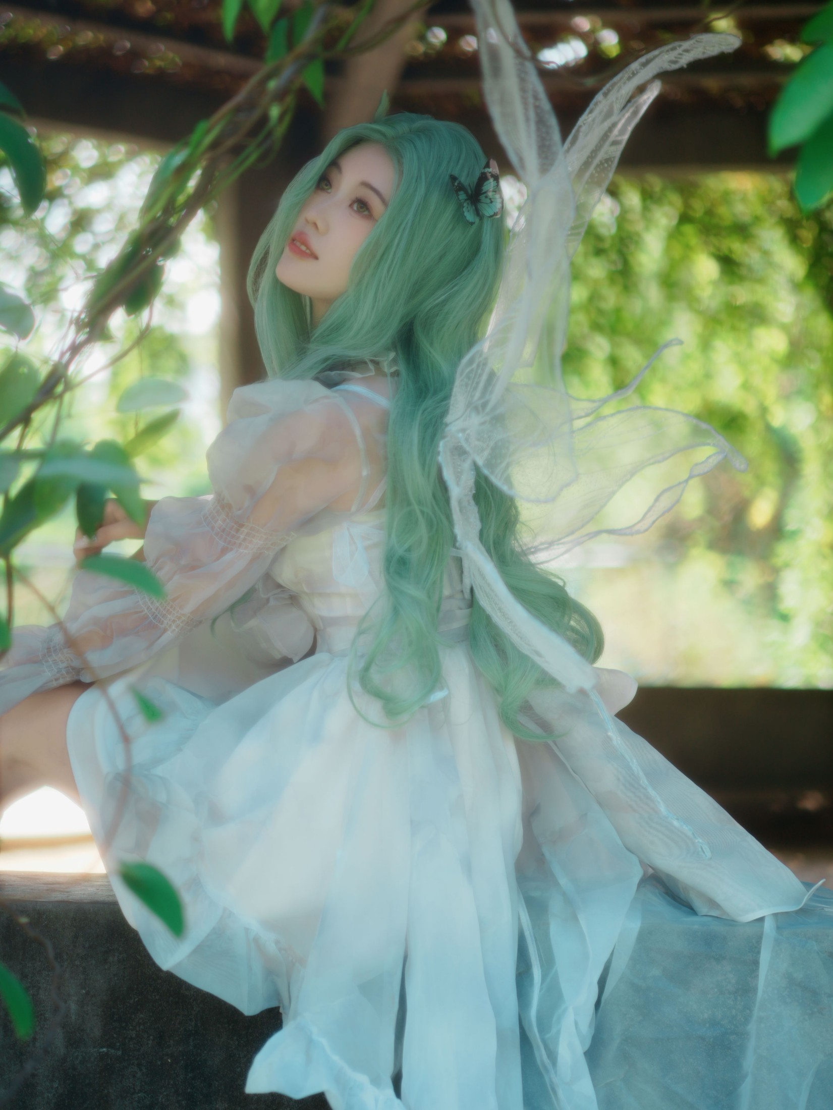 《绿发精灵》[10P]
