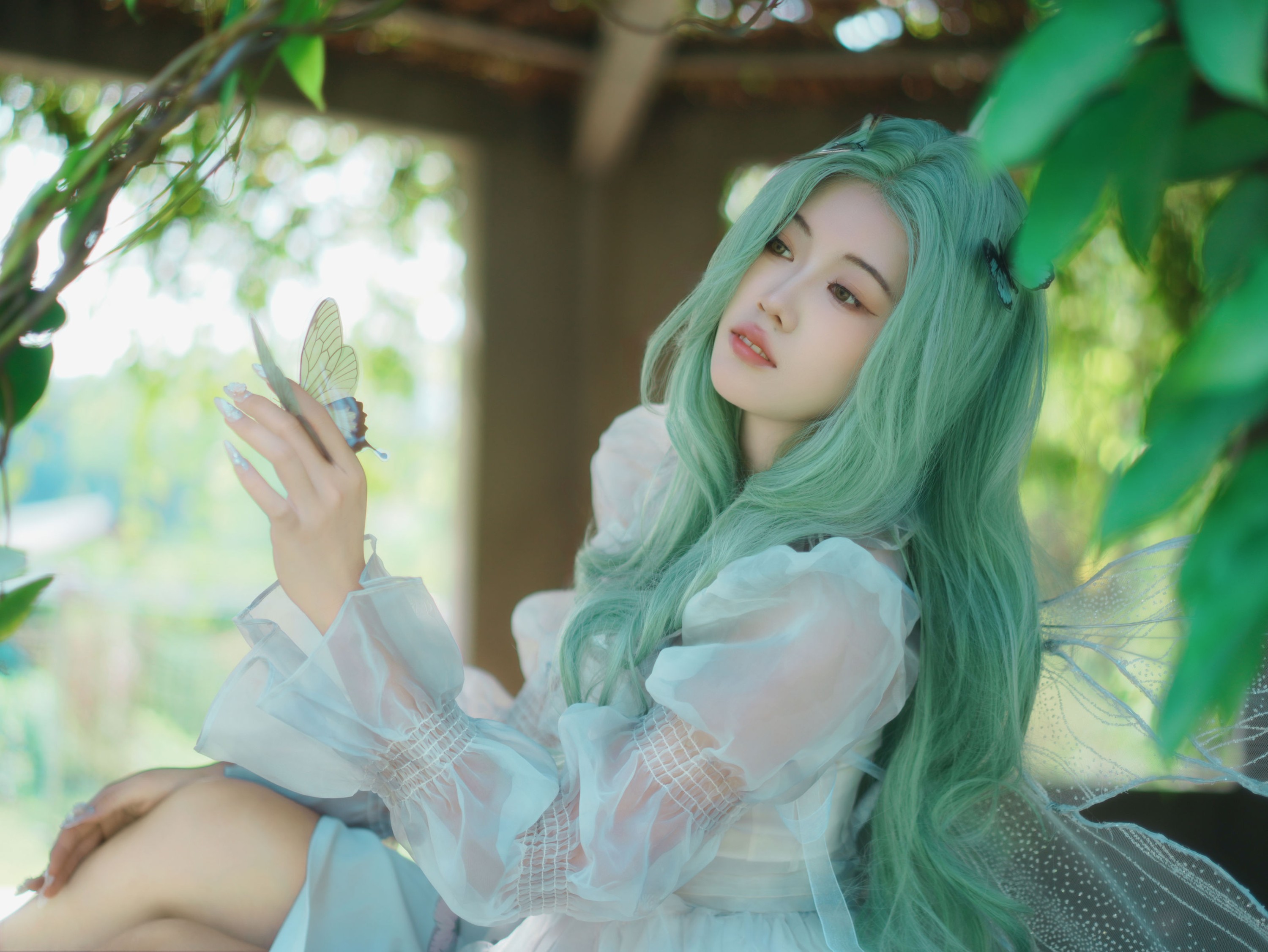 《绿发精灵》[10P]
