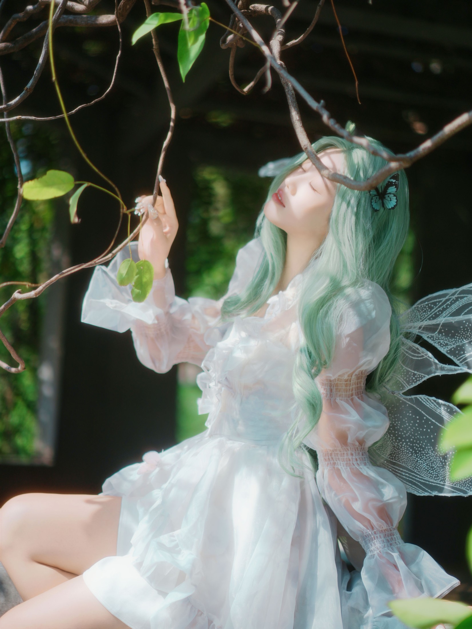 《绿发精灵》[10P]