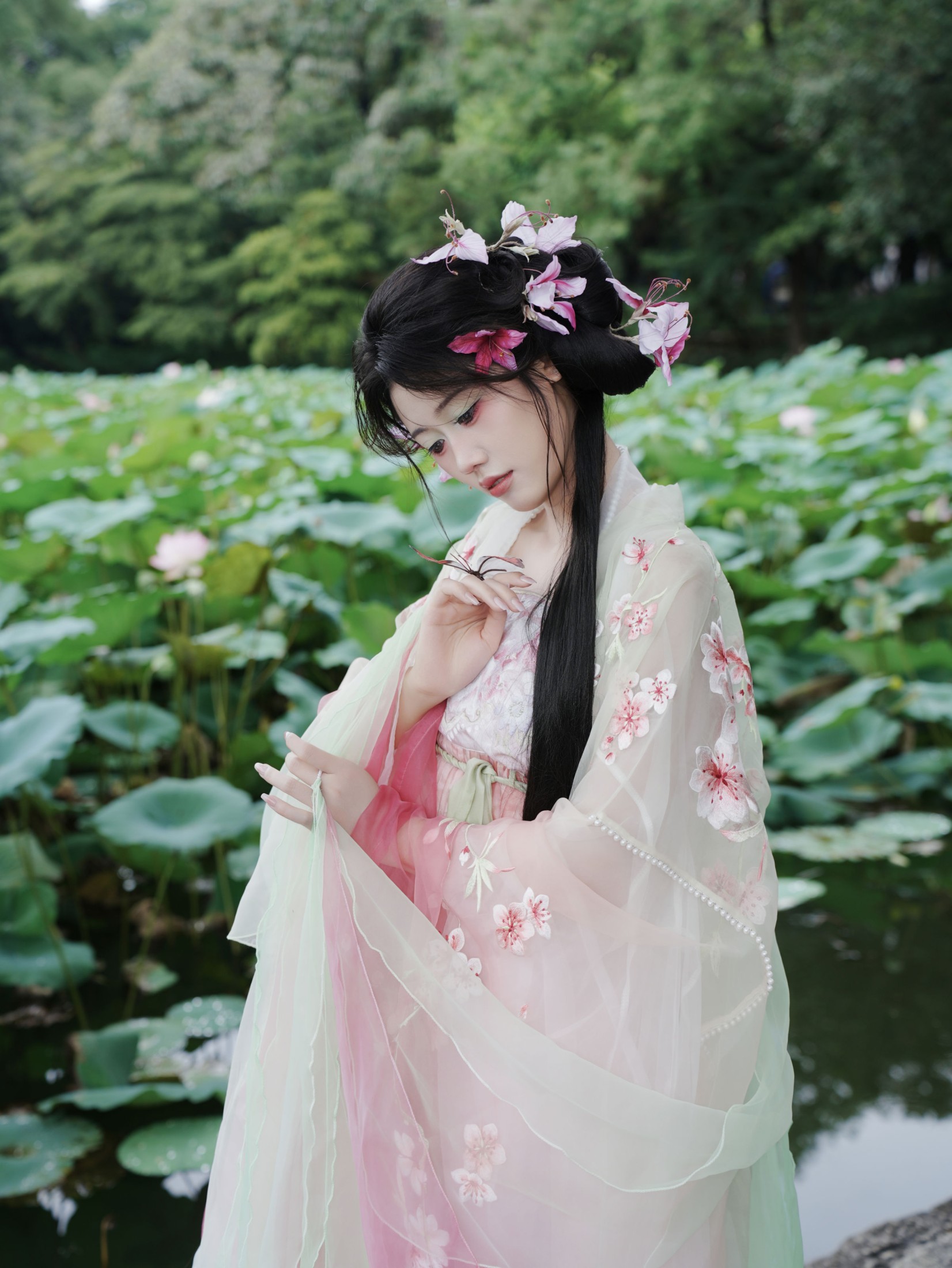 《林间精灵》[14P]