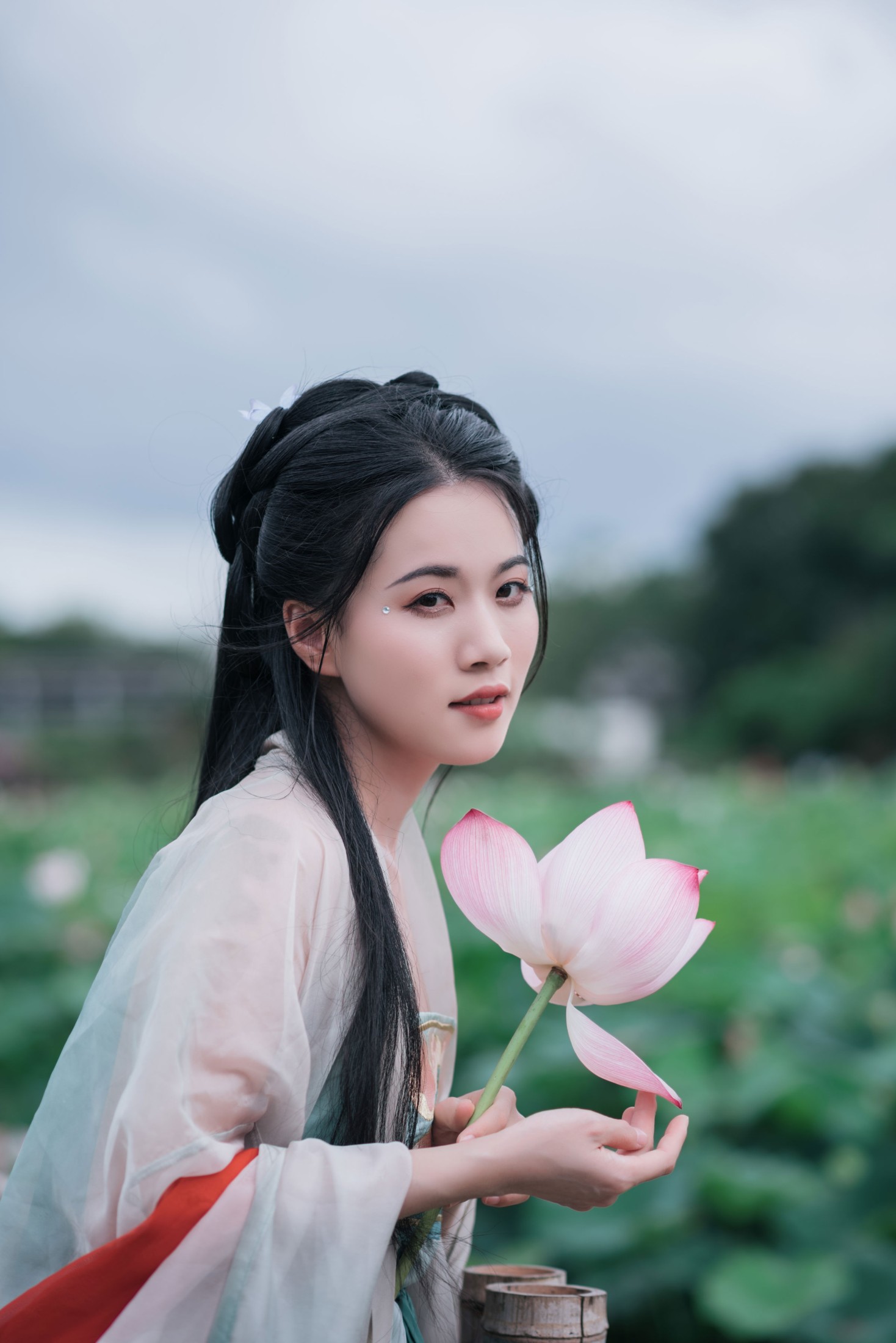 《误入江南荷塘秘境》[11P]