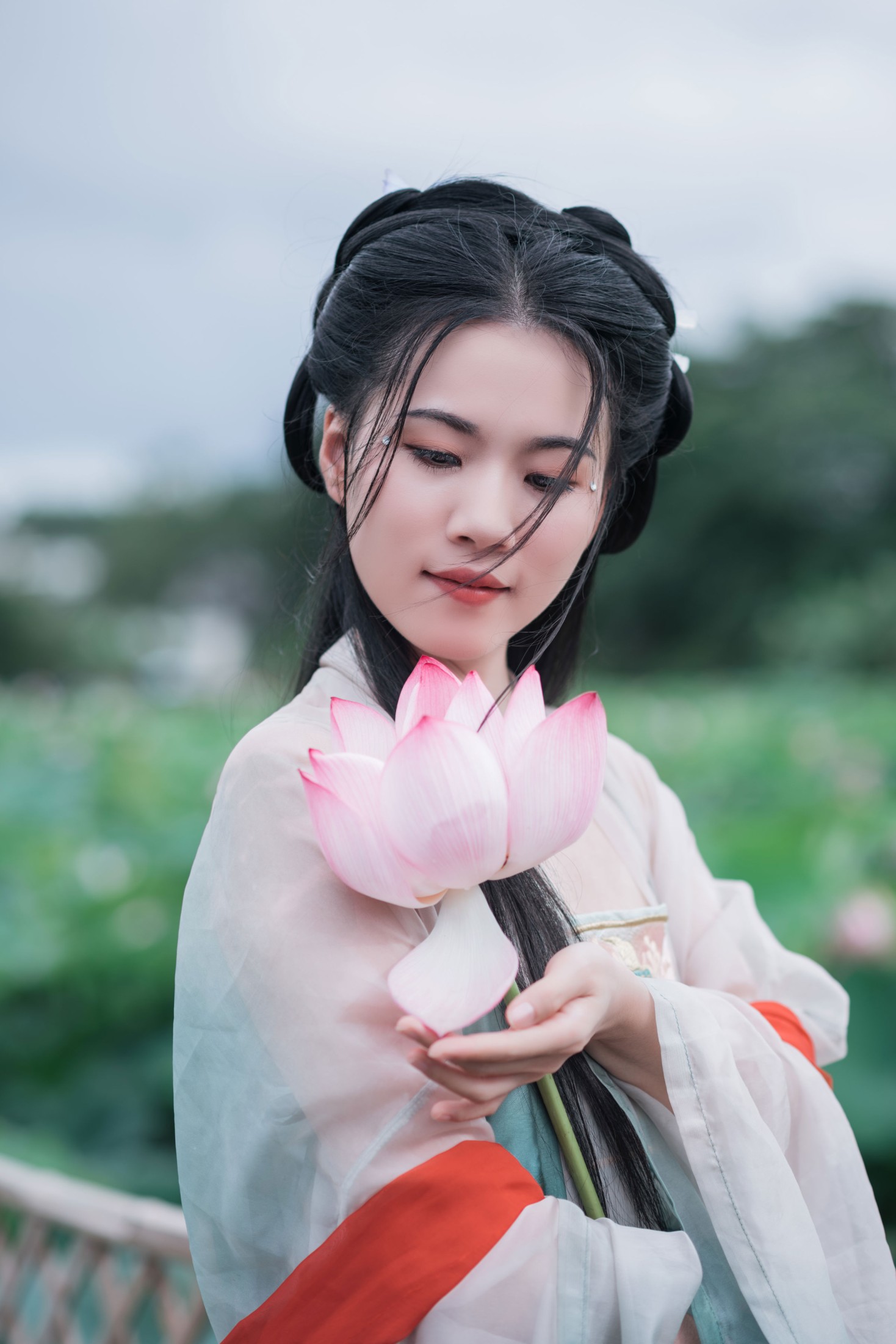 《误入江南荷塘秘境》[11P]