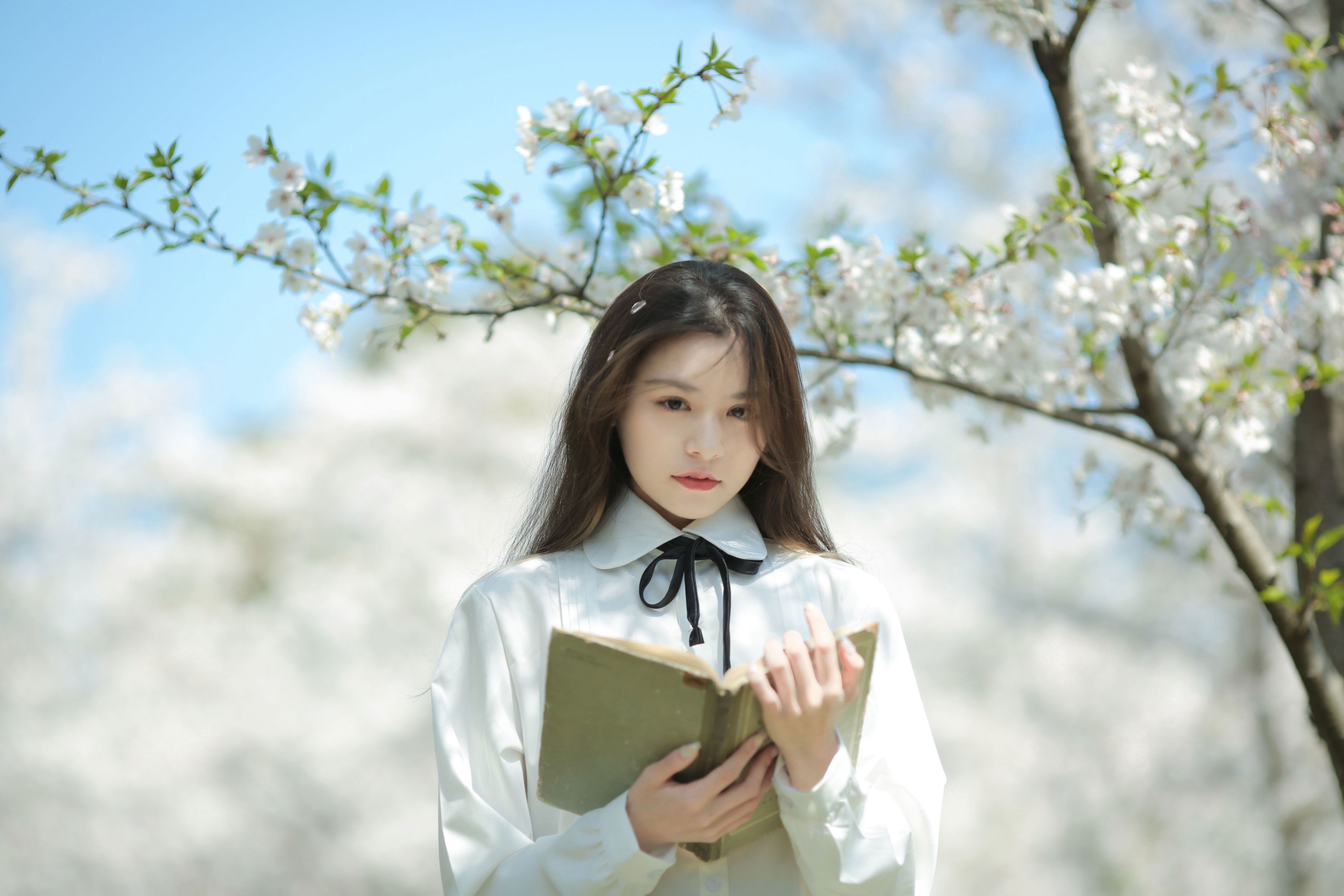 《春观夜樱，夏望繁星》[13P]