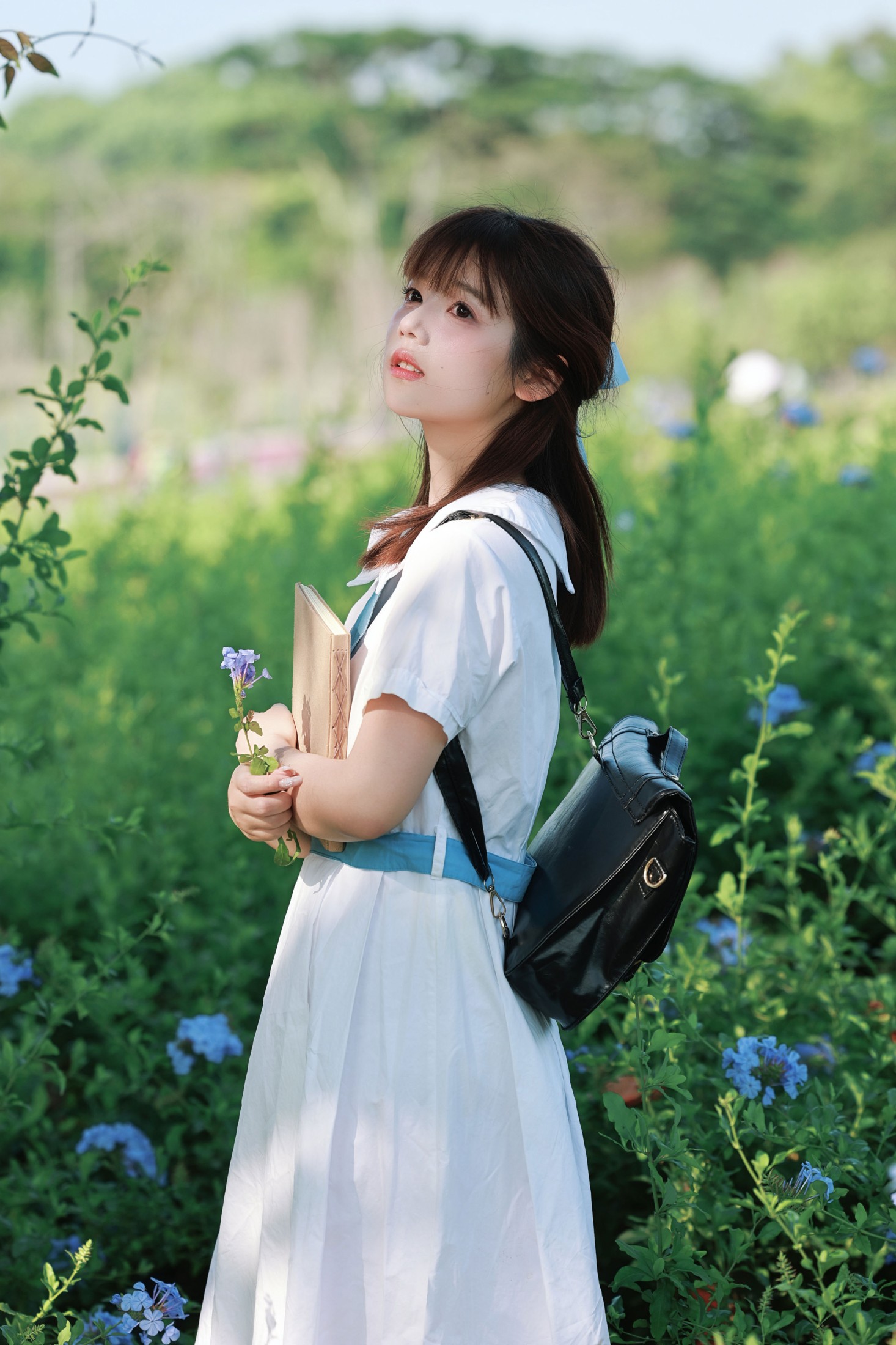 《蓝雪花里的 JK 少女，藏着夏天的心事》[19P]