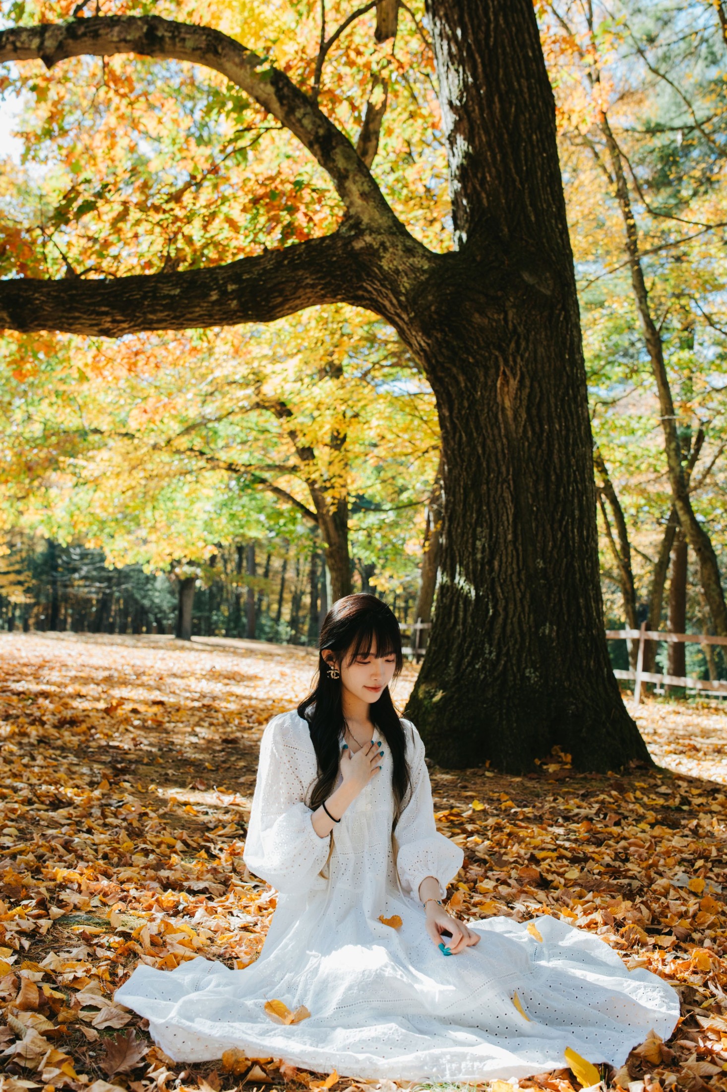 《Fall Vibes》[9P]