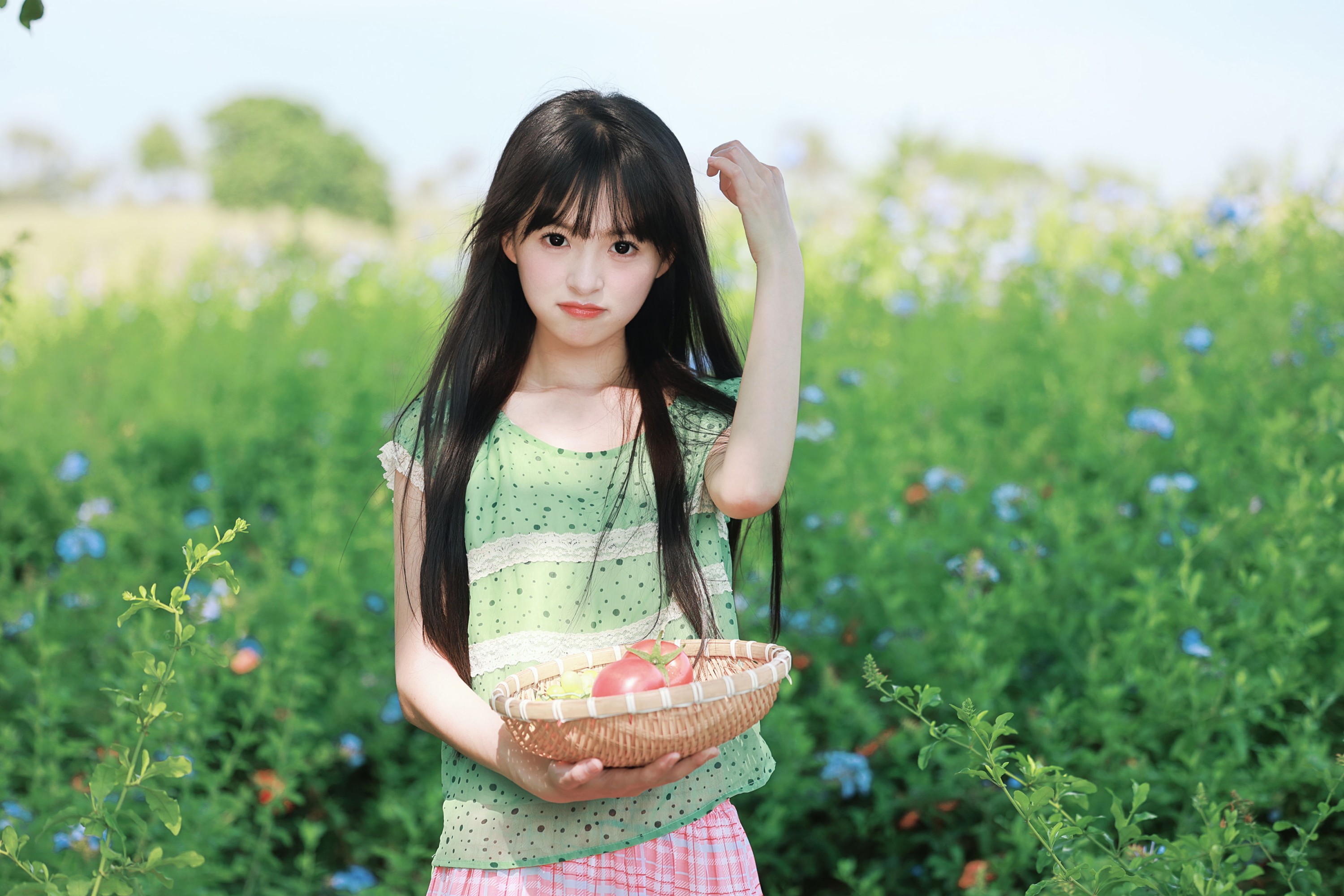 《蓝雪花与番茄味的夏天》[20P]