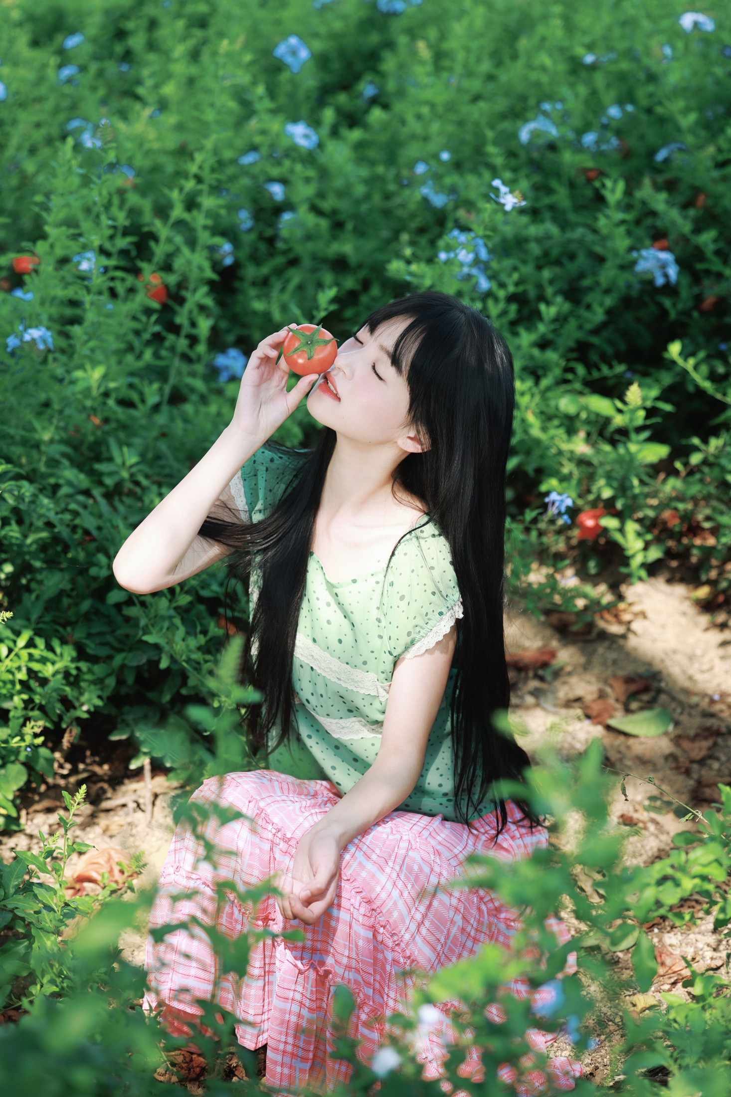 《蓝雪花与番茄味的夏天》[20P]