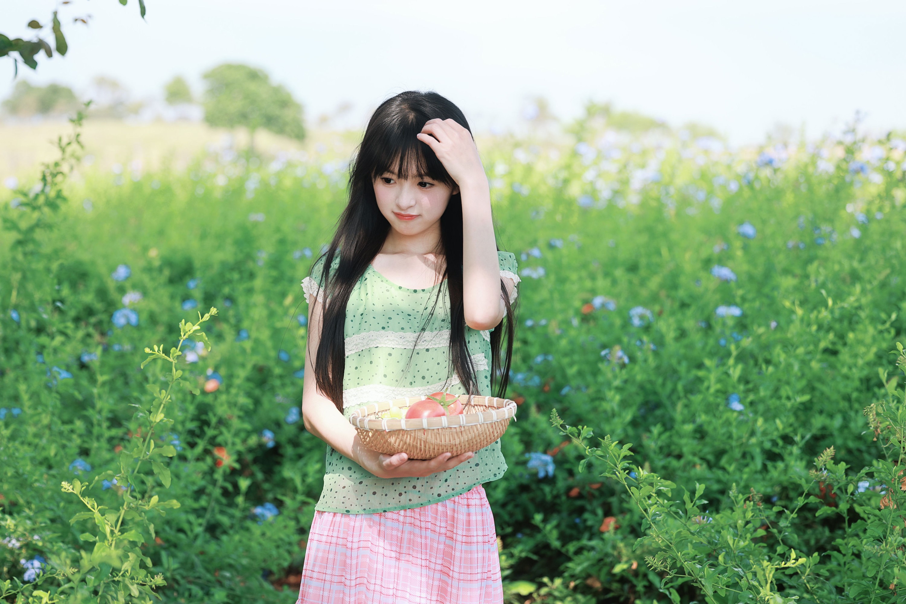 《蓝雪花与番茄味的夏天》[20P]