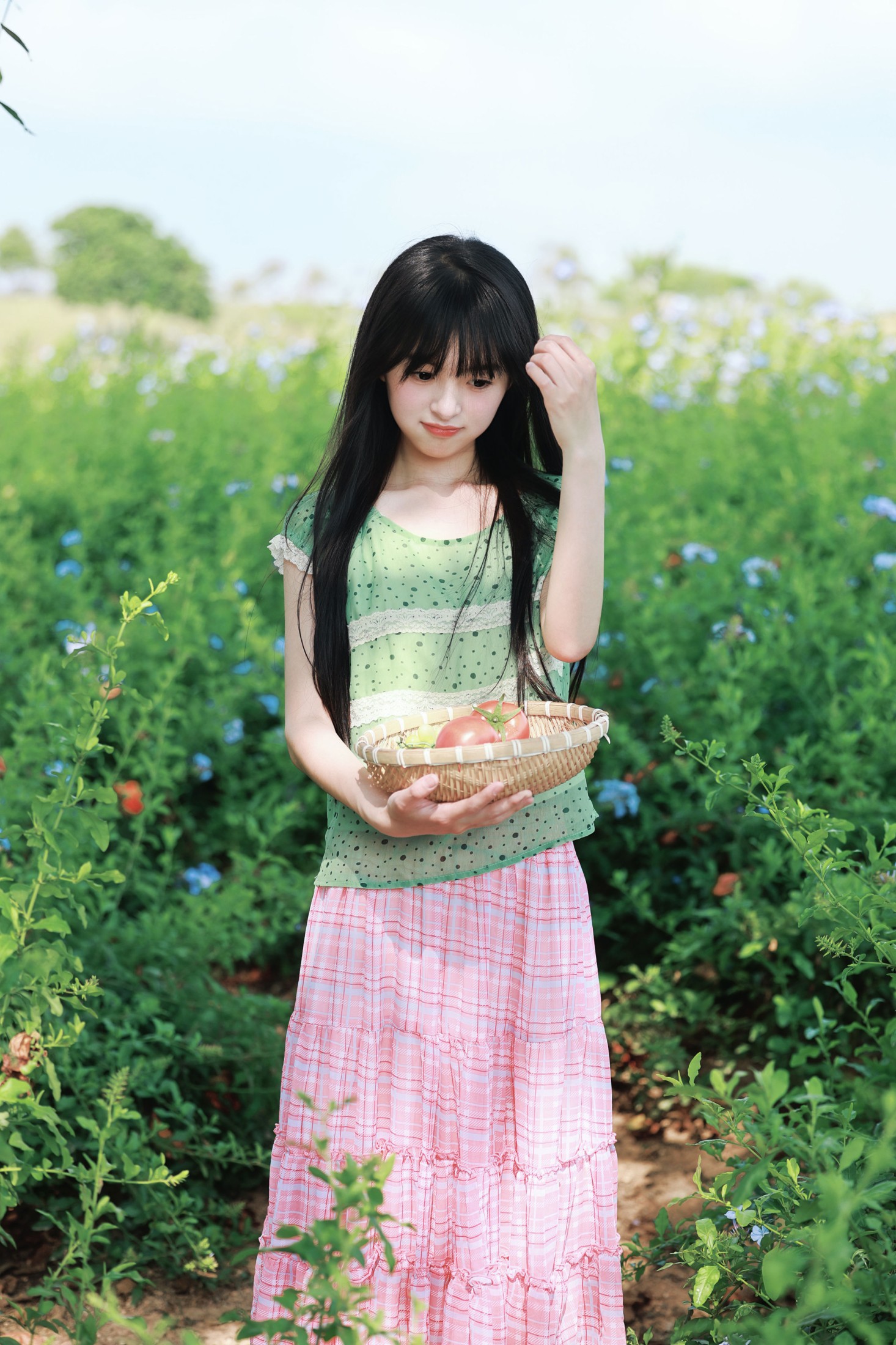 《蓝雪花与番茄味的夏天》[20P]