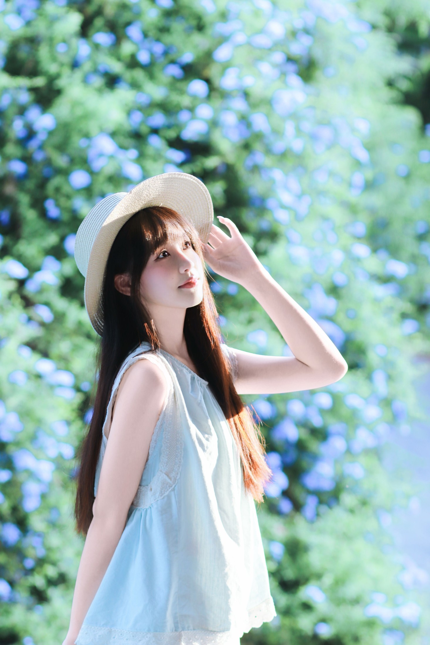《盛夏的蓝雪花》[39P]