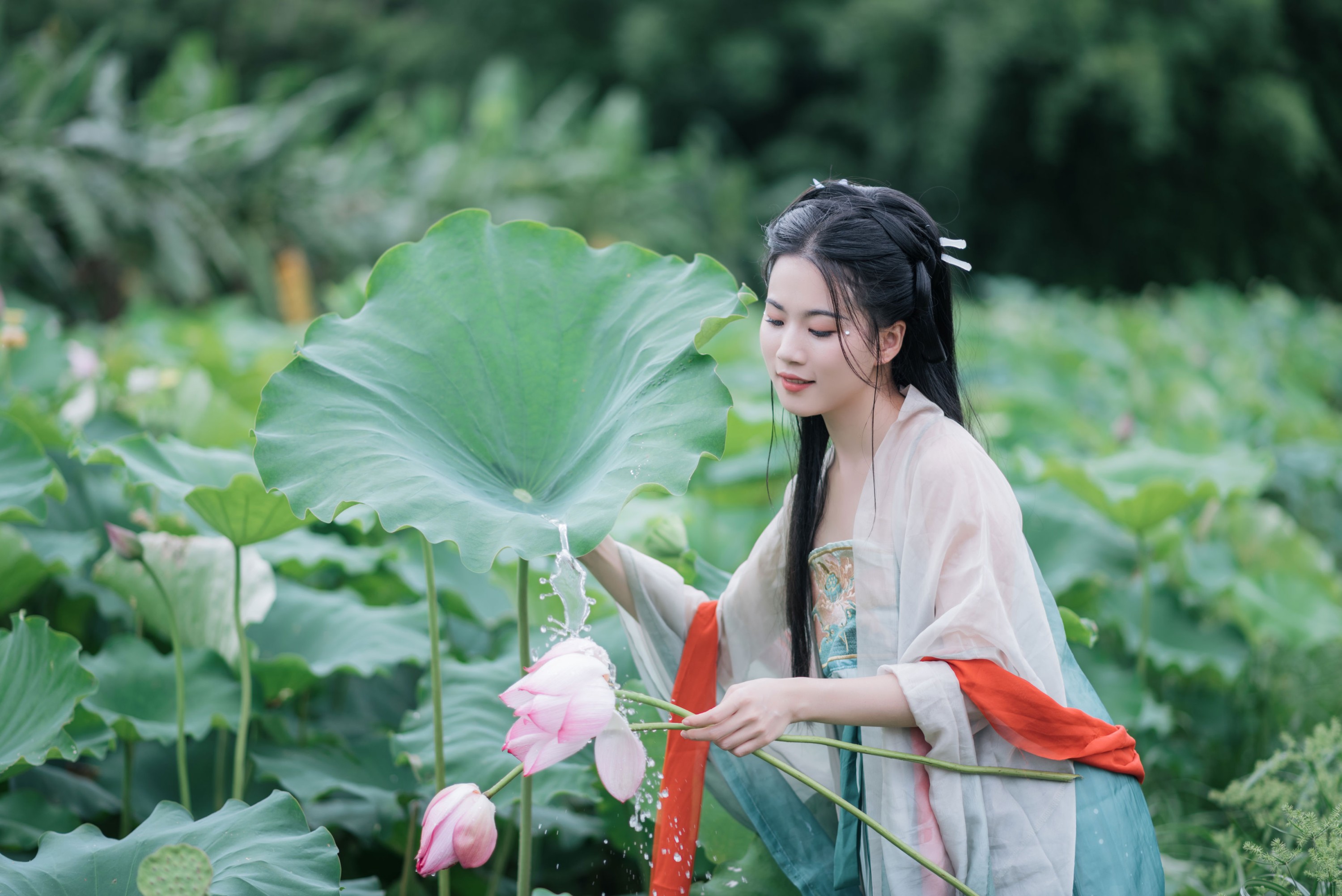 《一池清荷，一袭古意》[17P]