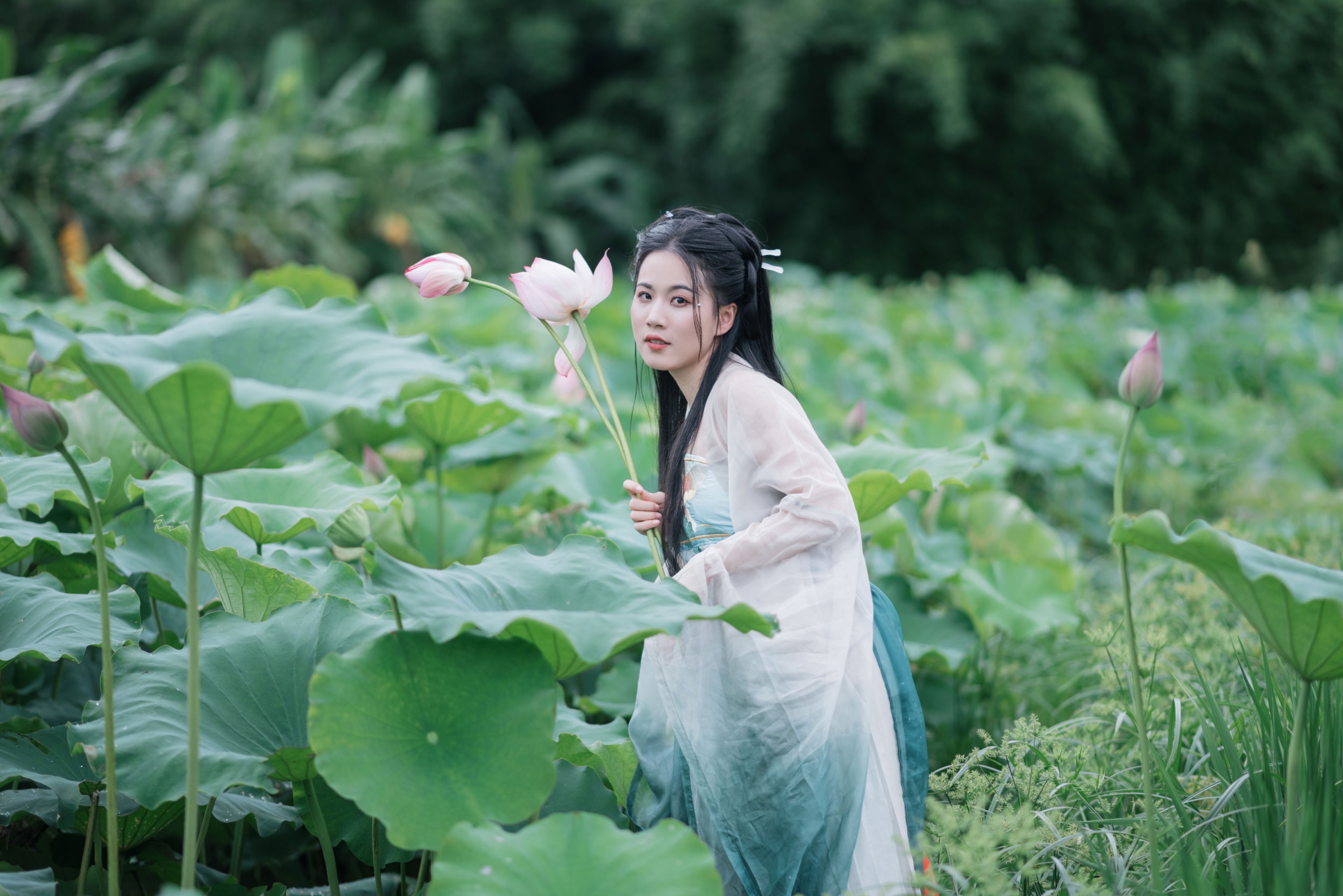 《一池清荷，一袭古意》[17P]