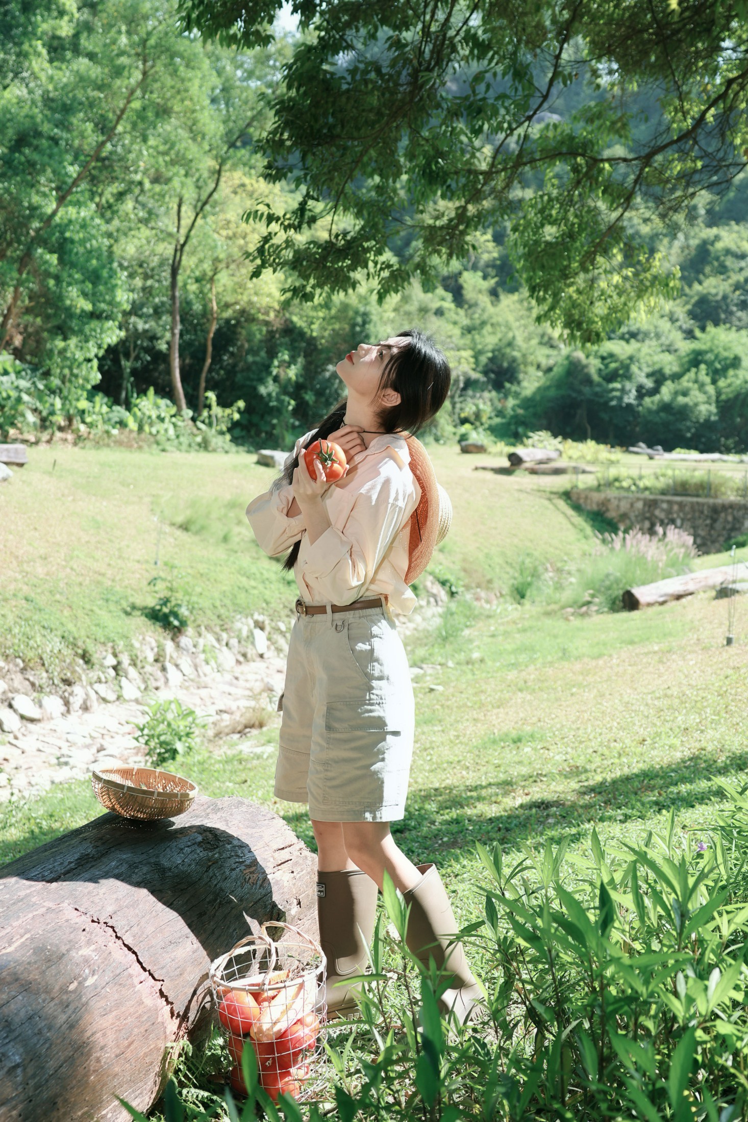 《夏日农场日记，是阳光和番茄的味道》[33P]