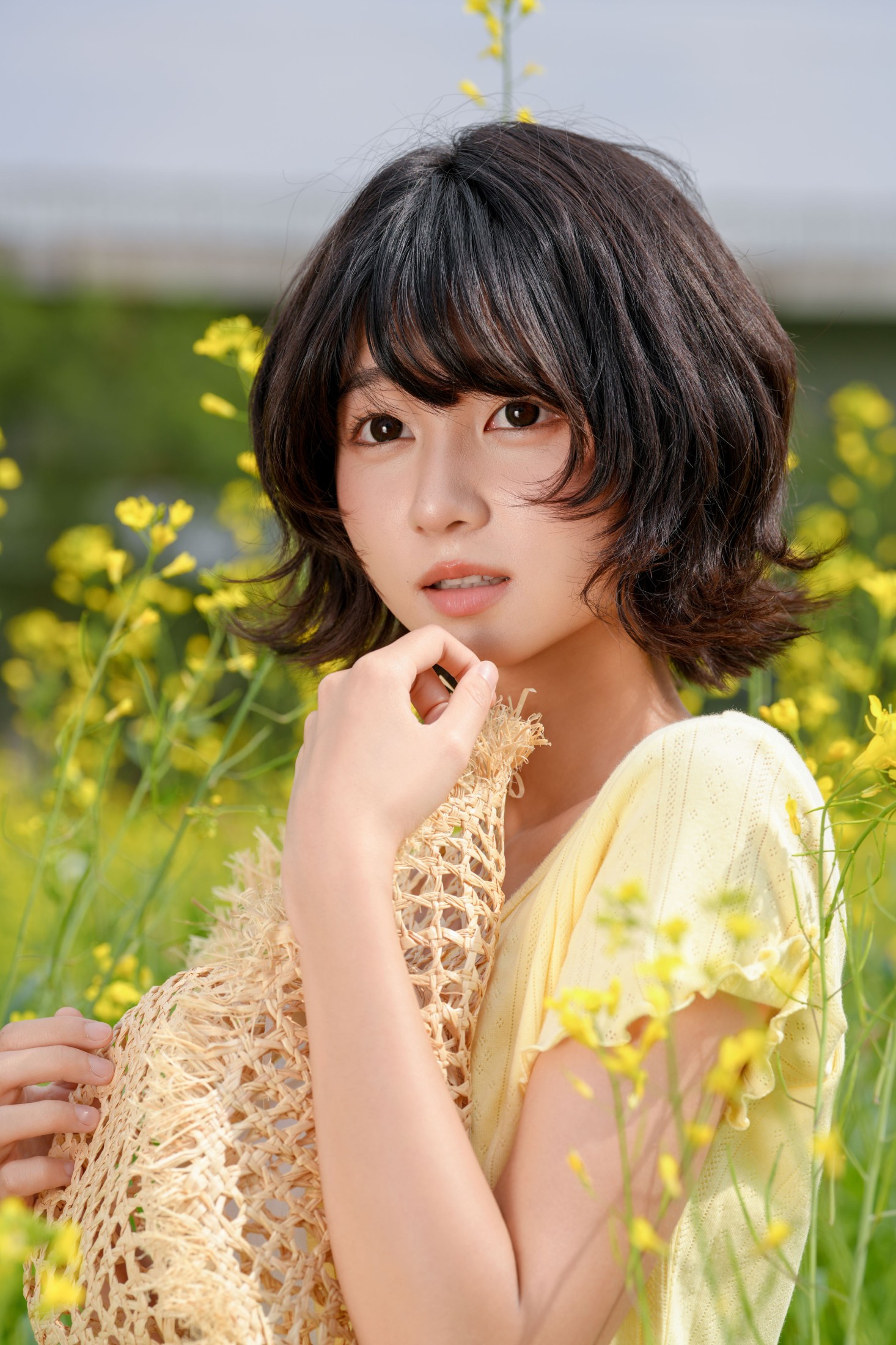 《油菜花少女》[29P]
