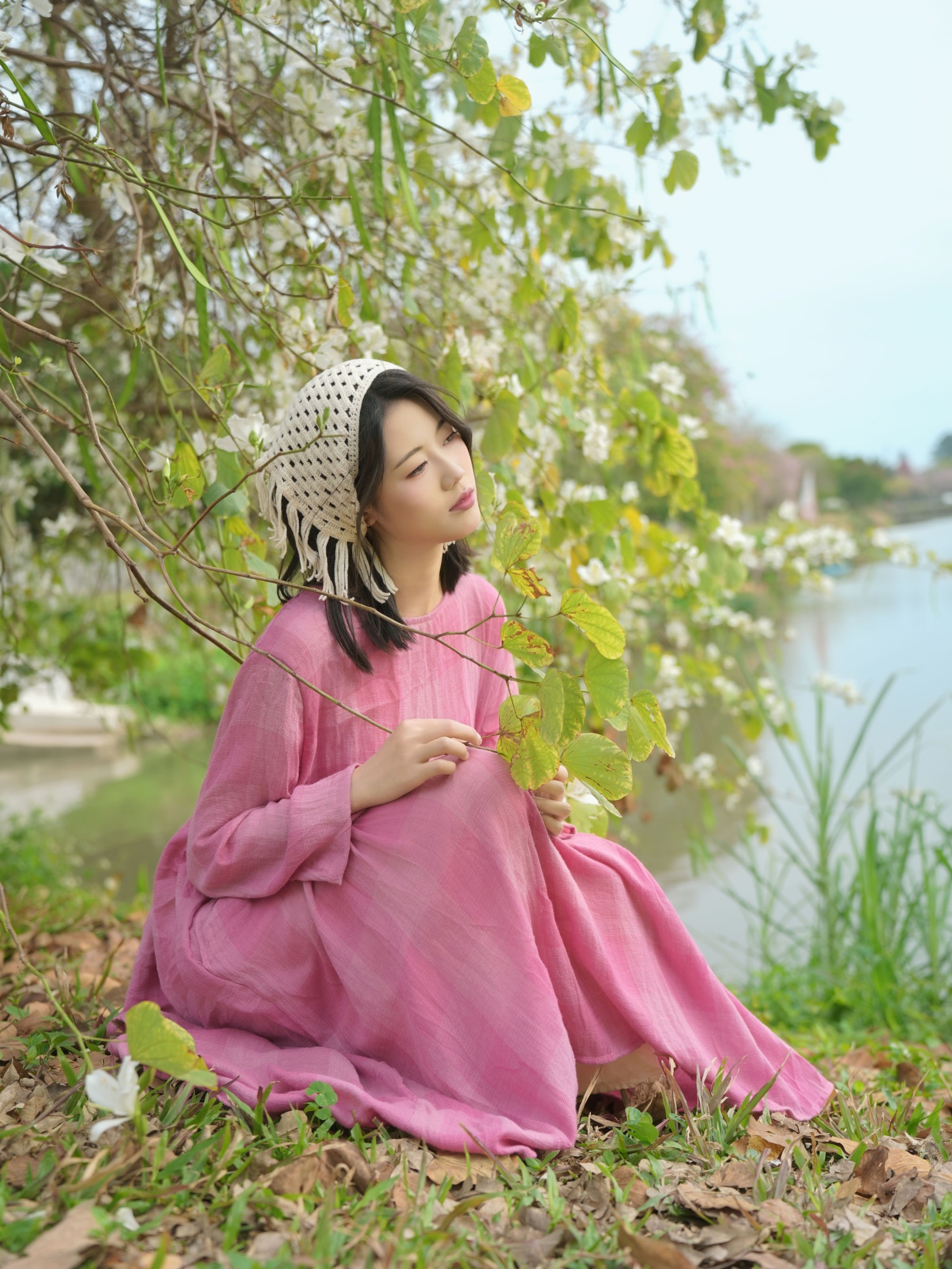 《紫荆花树下和三角梅》[20P]