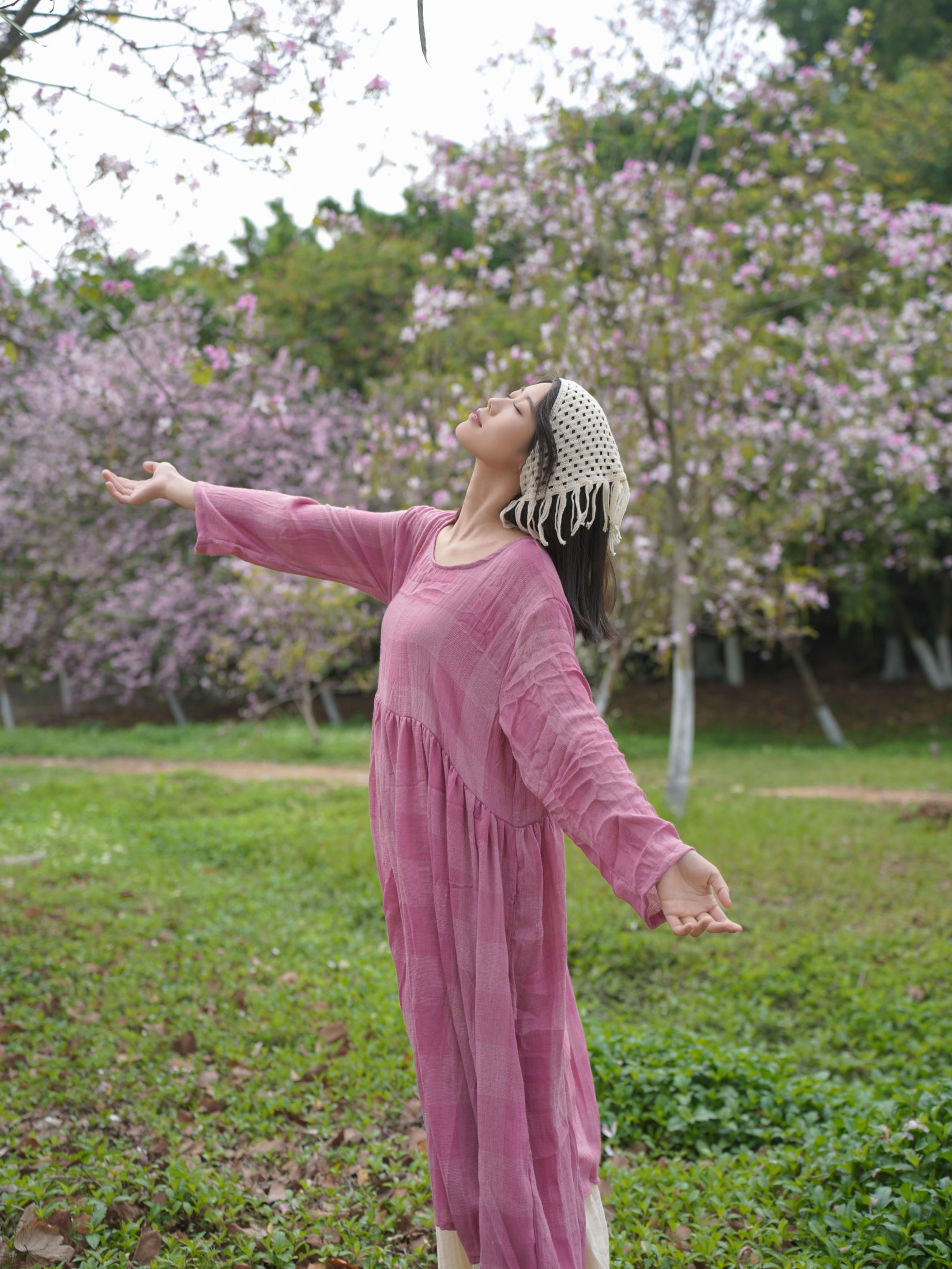 《紫荆花树下和三角梅》[20P]