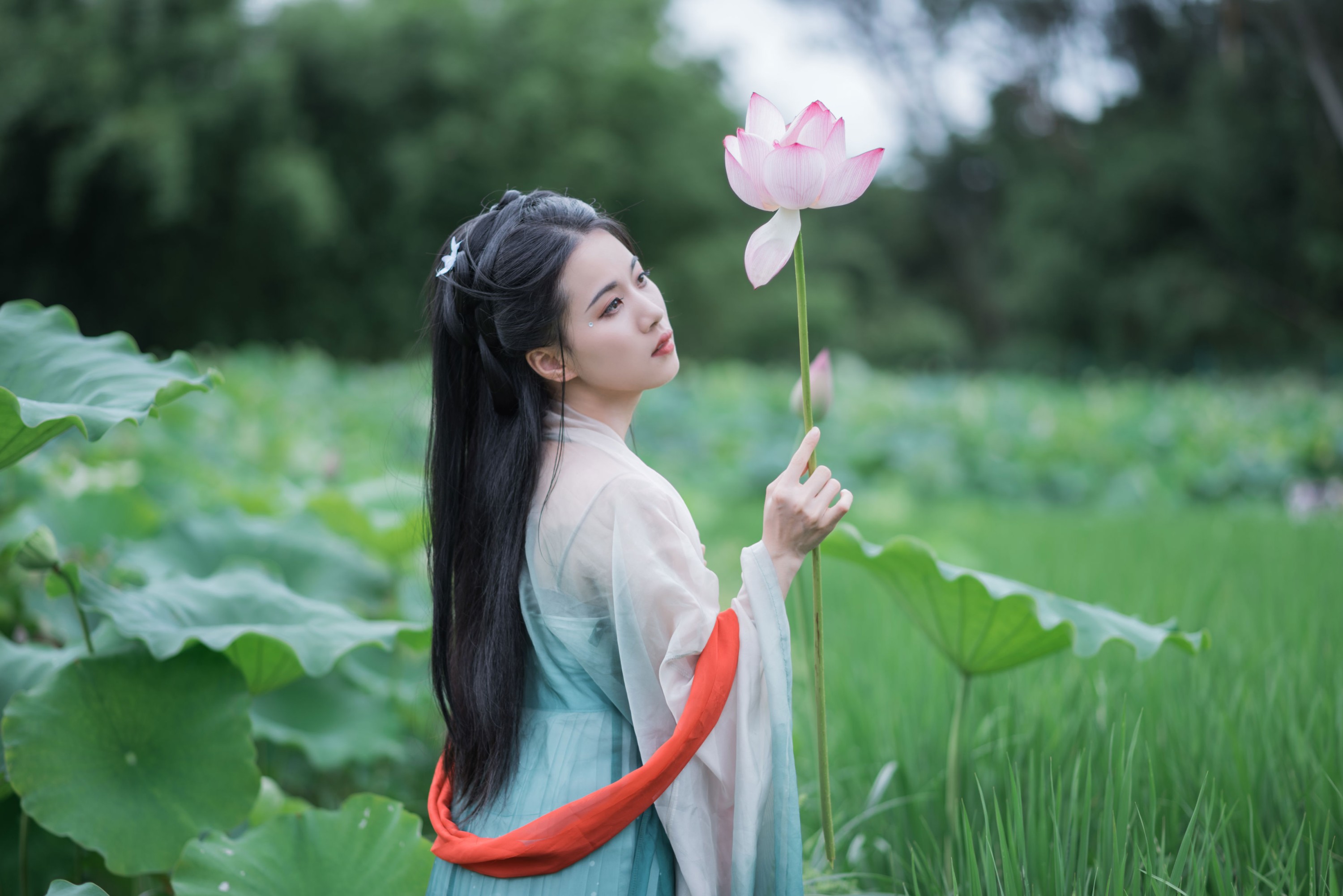 《荷塘深处，邂逅一袭宋韵温柔》[13P]