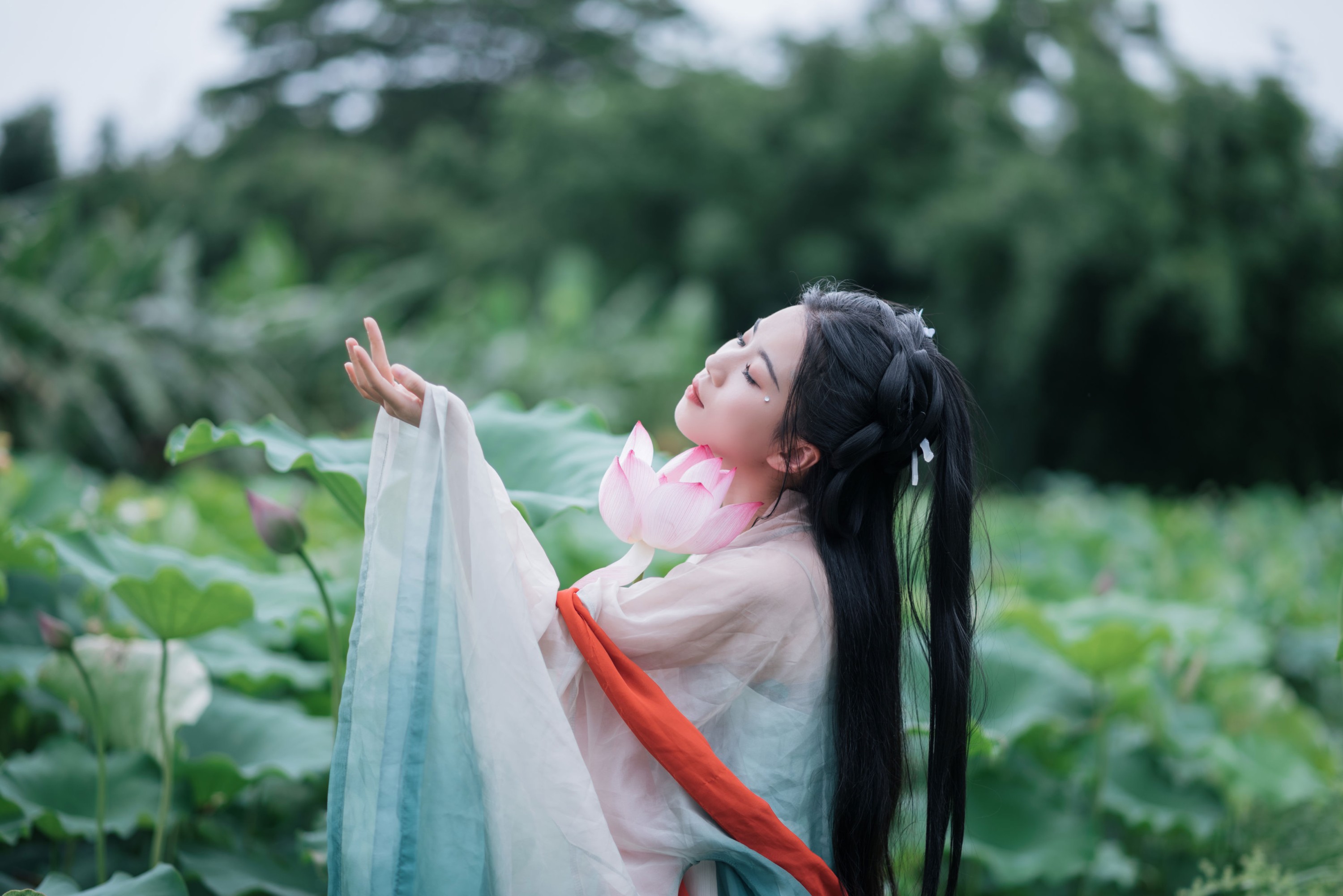《荷塘深处，邂逅一袭宋韵温柔》[13P]