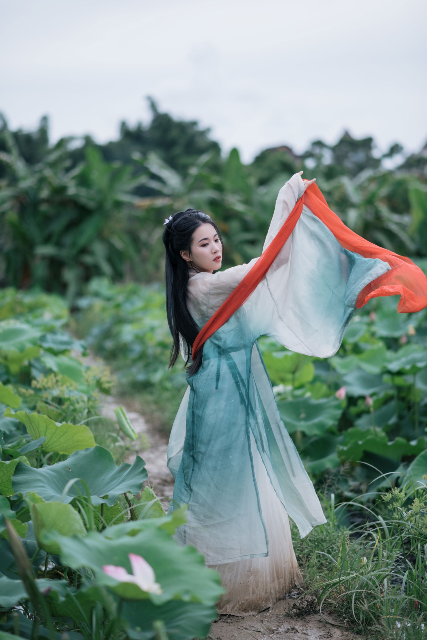 《荷塘深处，邂逅一袭宋韵温柔》[13P]