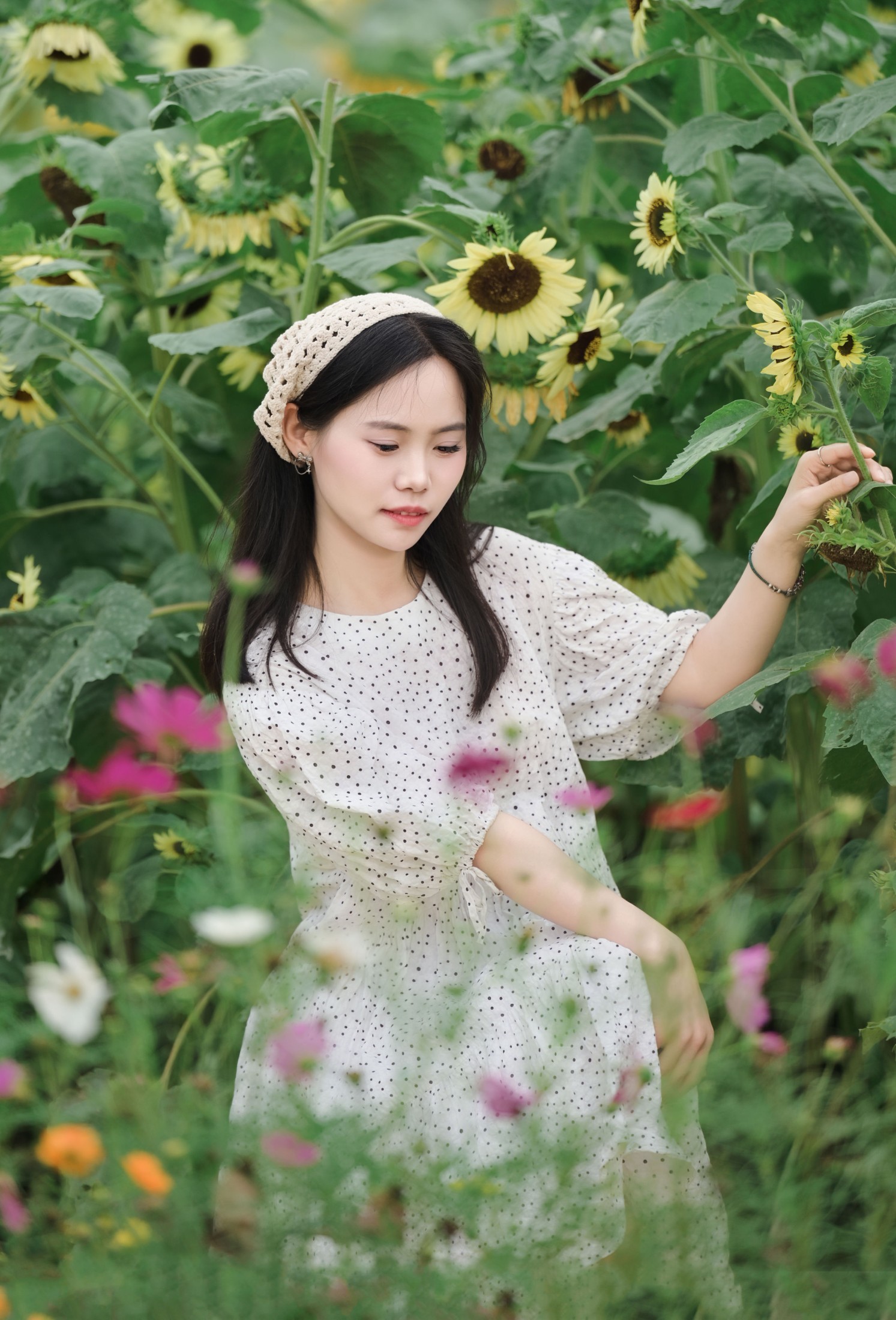 《闯入向日葵花海 把夏日浪漫揣进兜里》[11P]