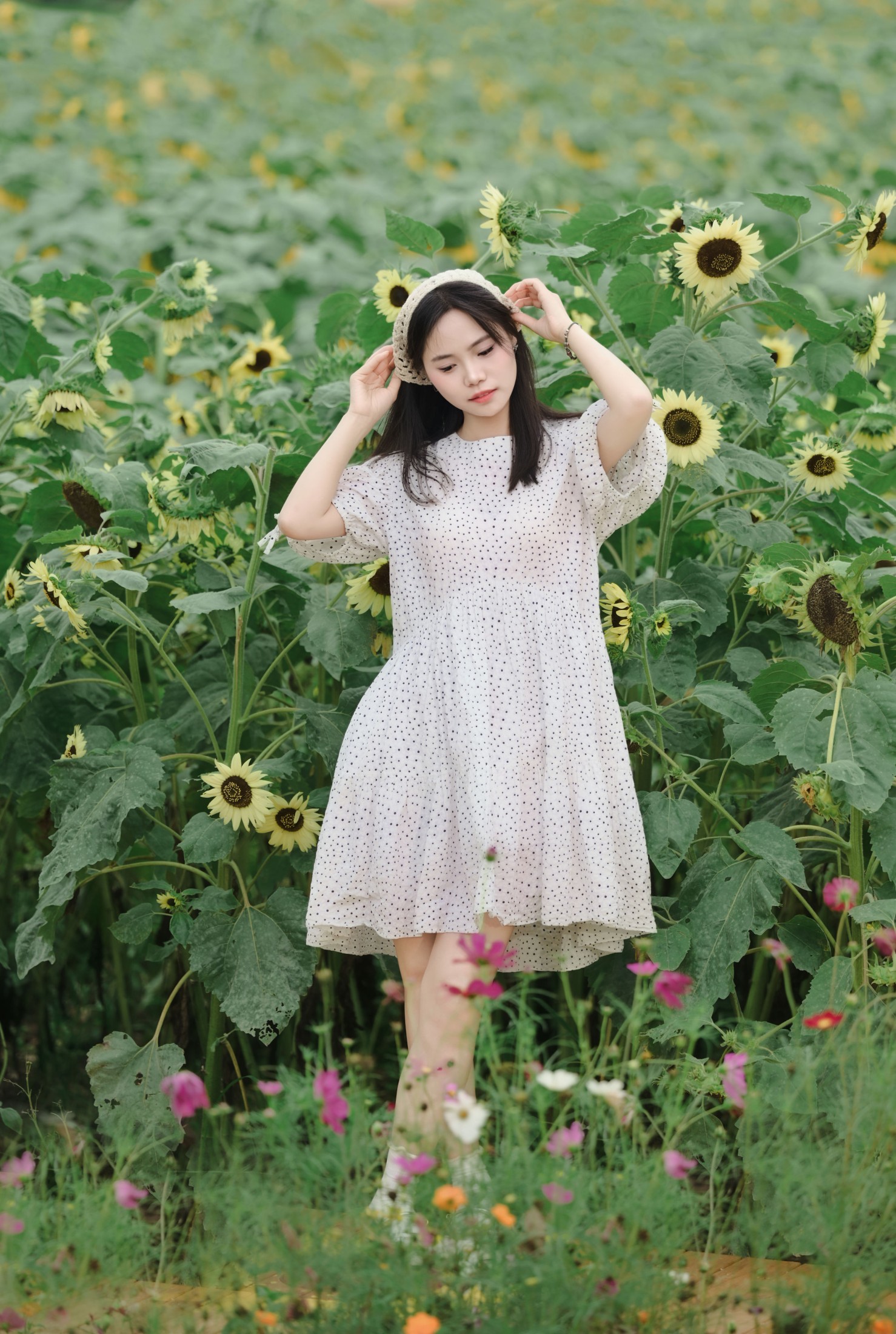 《闯入向日葵花海 把夏日浪漫揣进兜里》[11P]