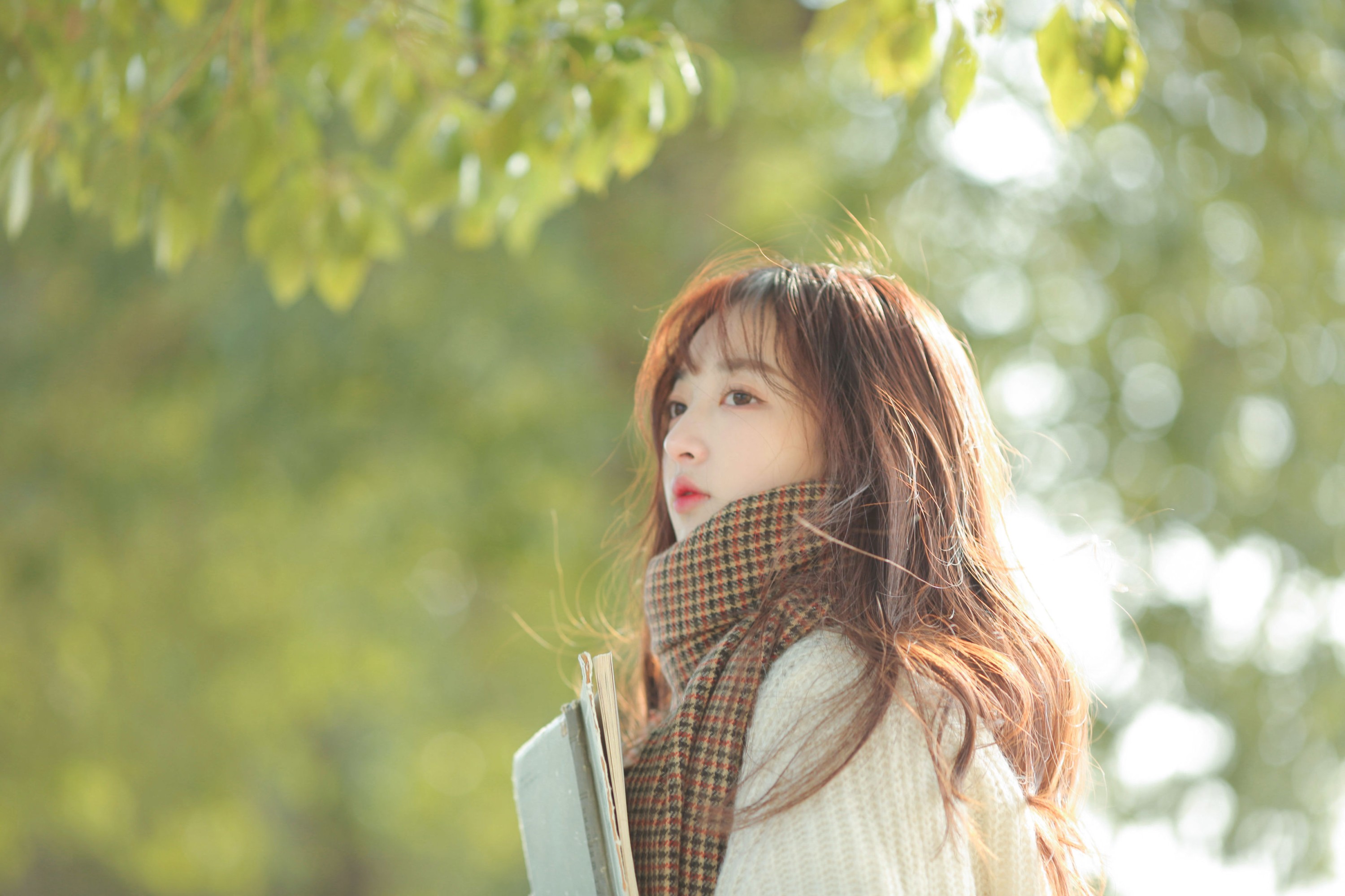 《如果你也听说》[15P]