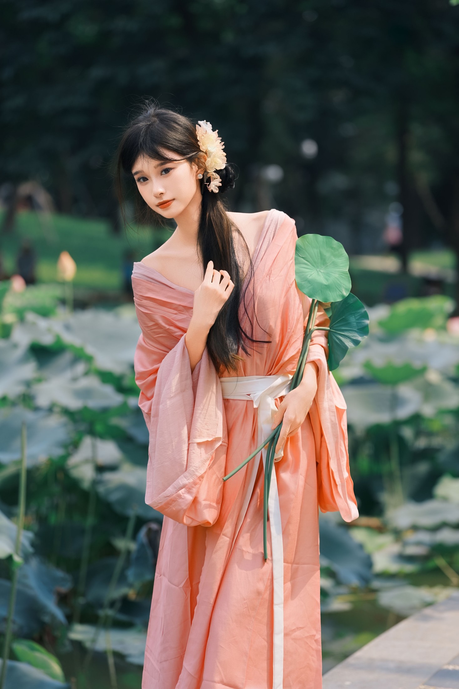 《粉黛印清荷》[34P]