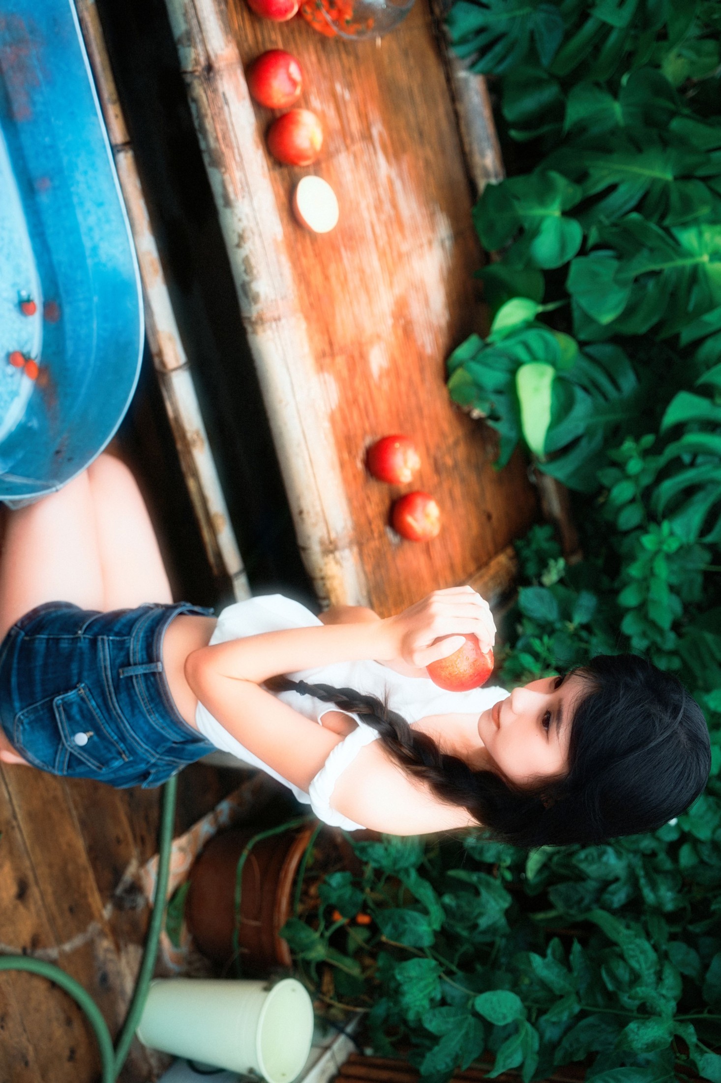 《清夏漫果》[33P]