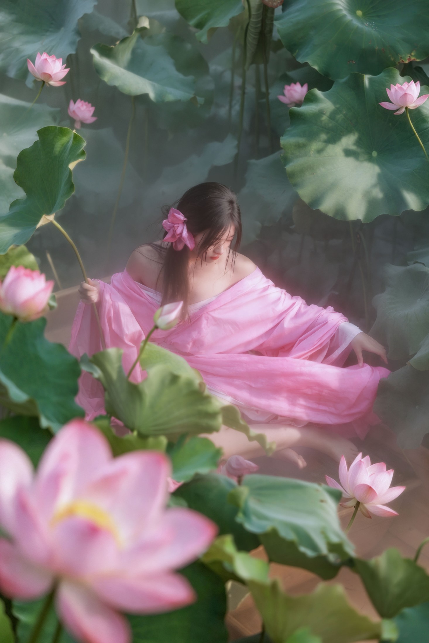《夏日的浪漫藏在这片荷花深处》[19P]