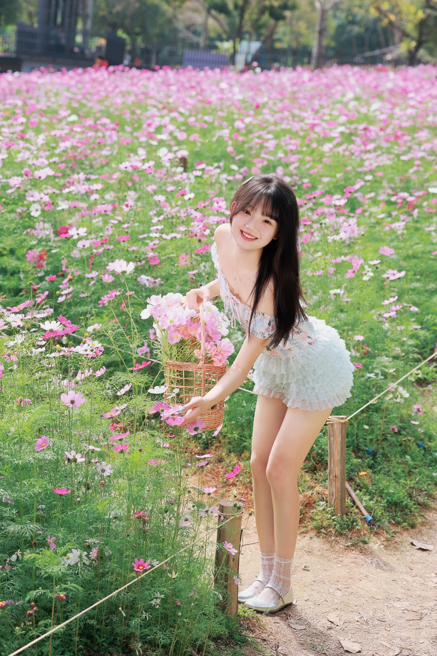《被格桑花海包围的春日限定 是甜妹该有的样子！》[30P]