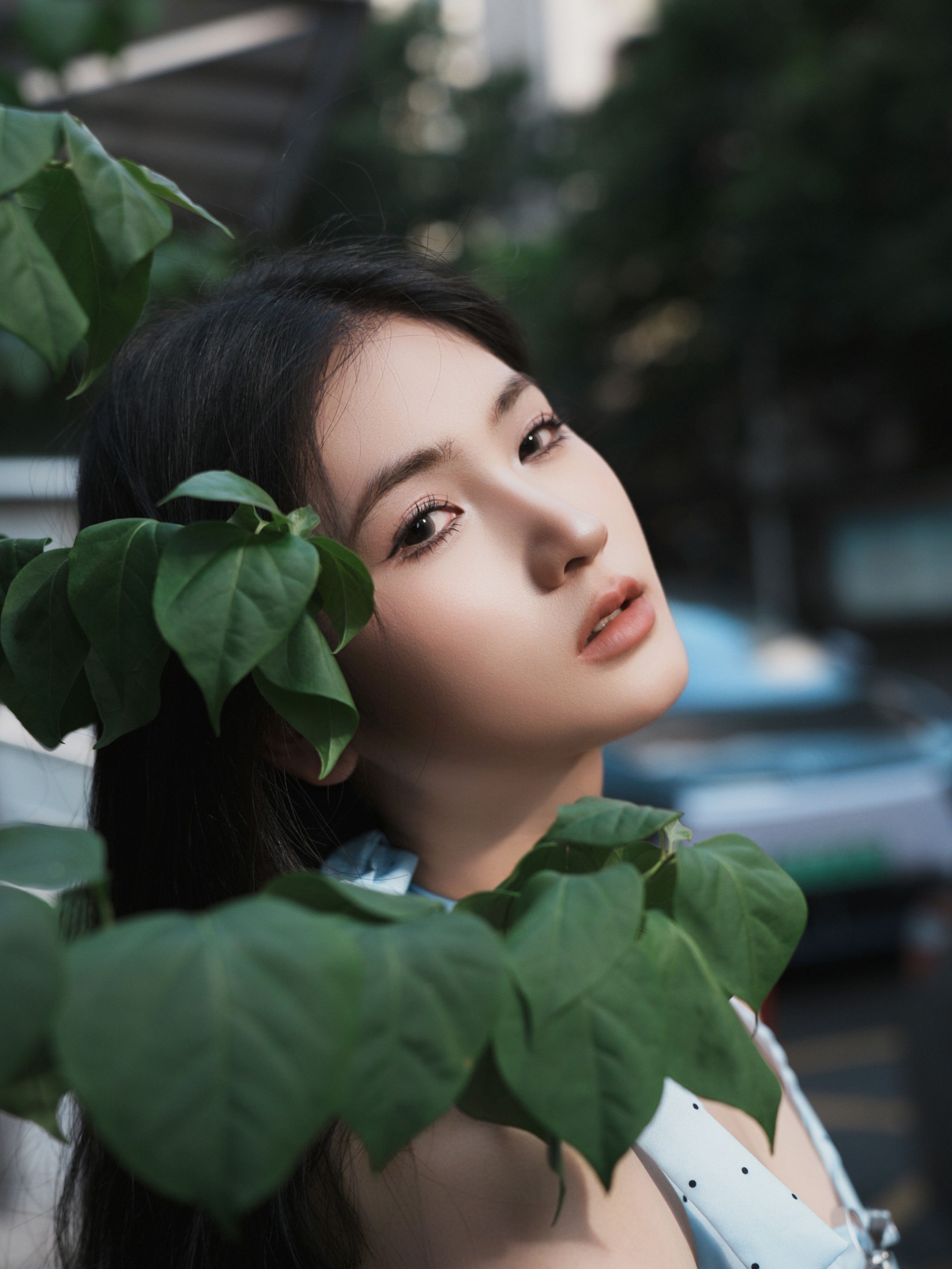 《真的不像张柏芝吗》[17P]
