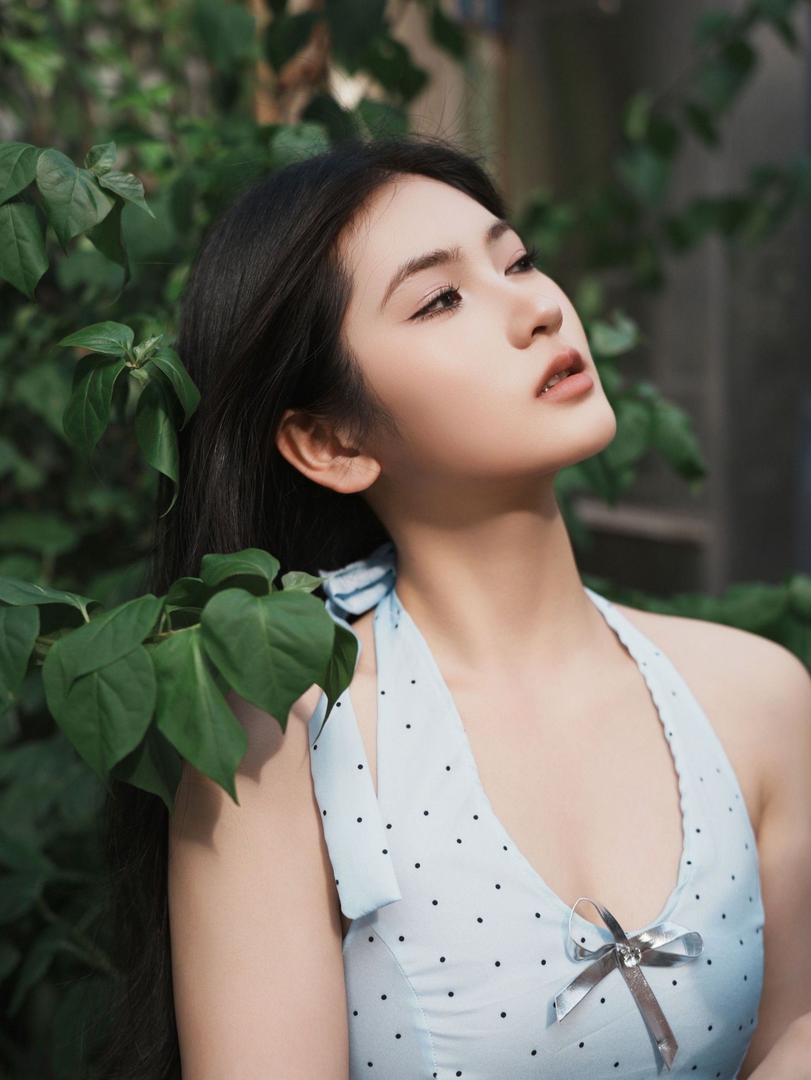 《真的不像张柏芝吗》[17P]
