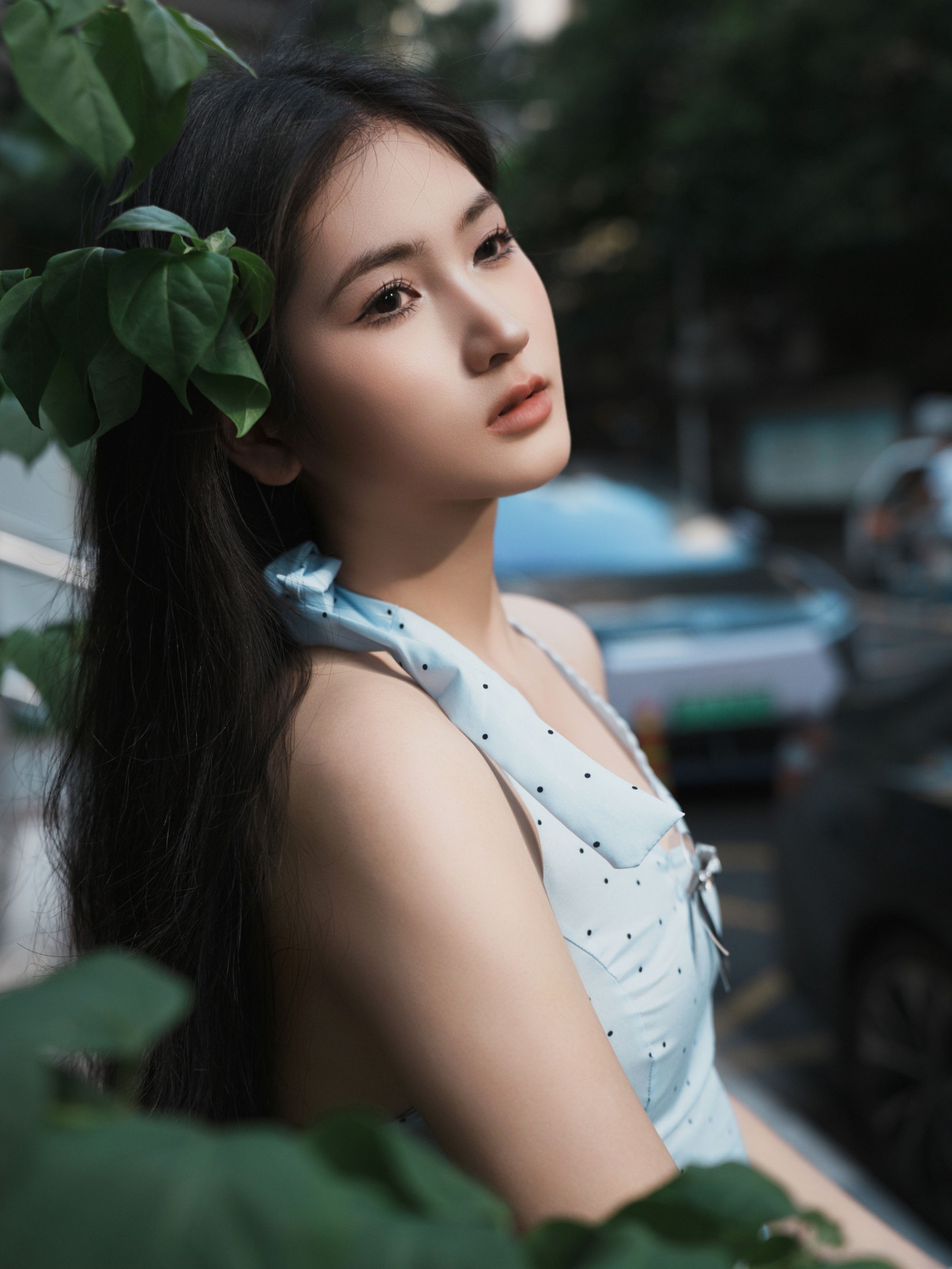 《真的不像张柏芝吗》[17P]