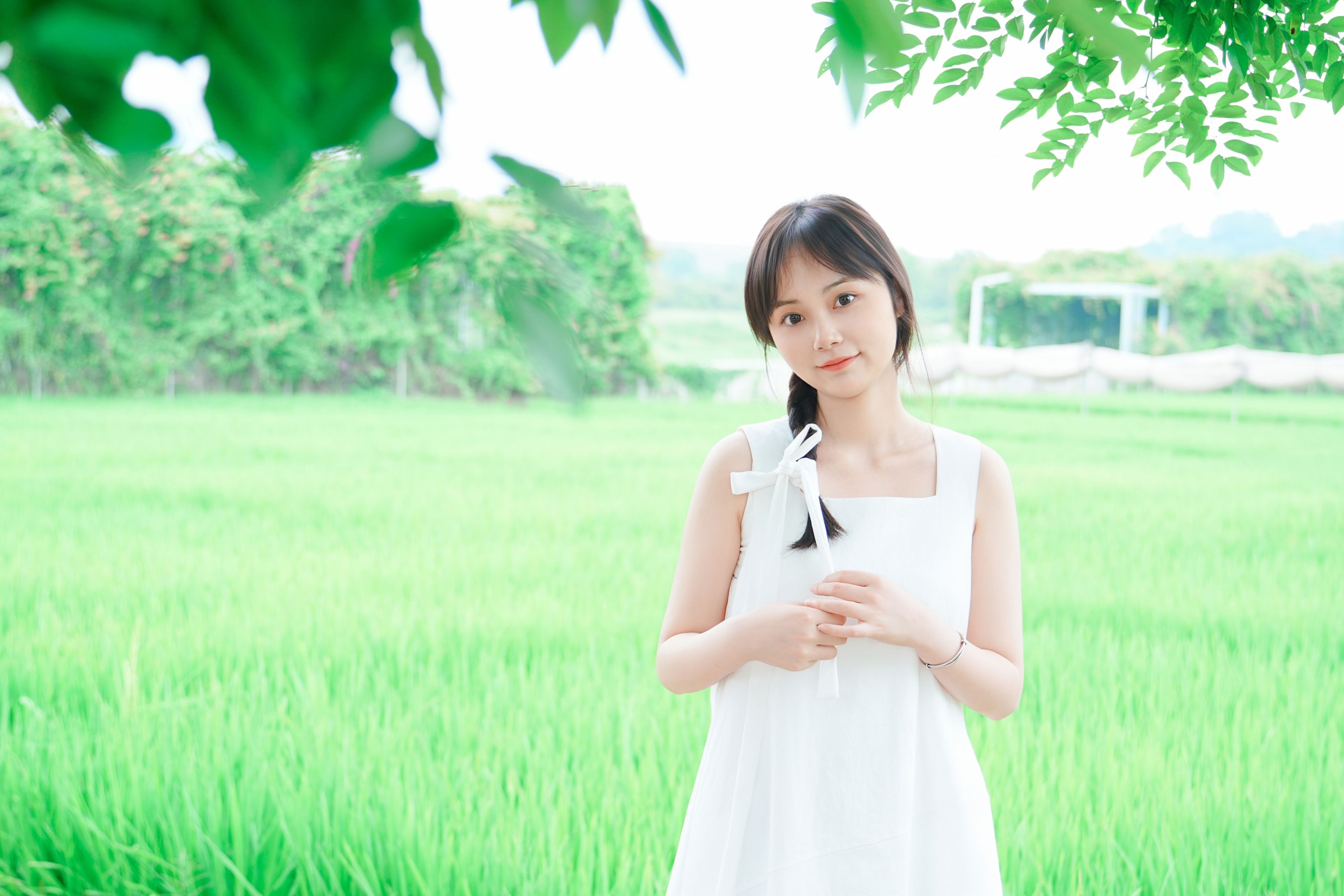 《夏天治愈系稻田拍照！》[9P]