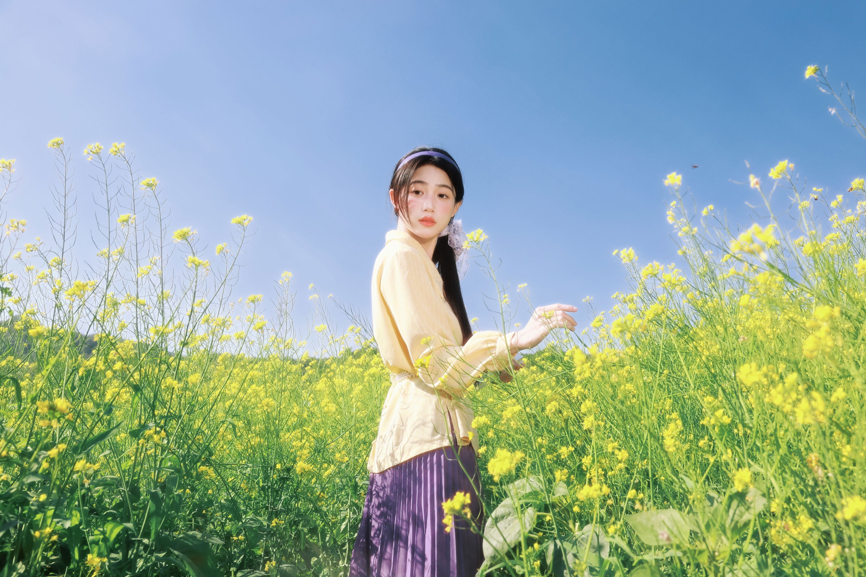 《黄与紫的春日诗篇，写在油菜花田里》[19P]