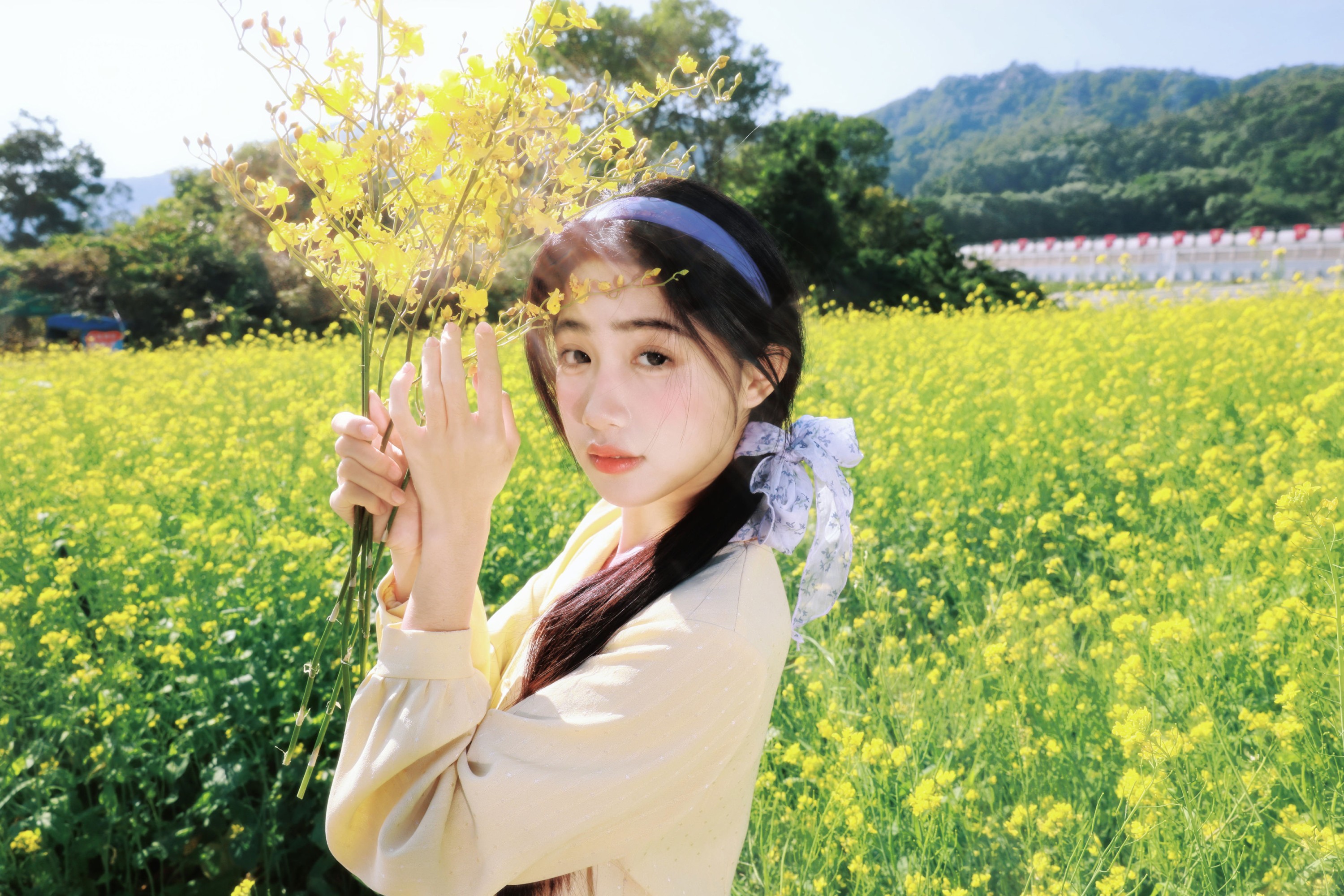 《黄与紫的春日诗篇，写在油菜花田里》[19P]