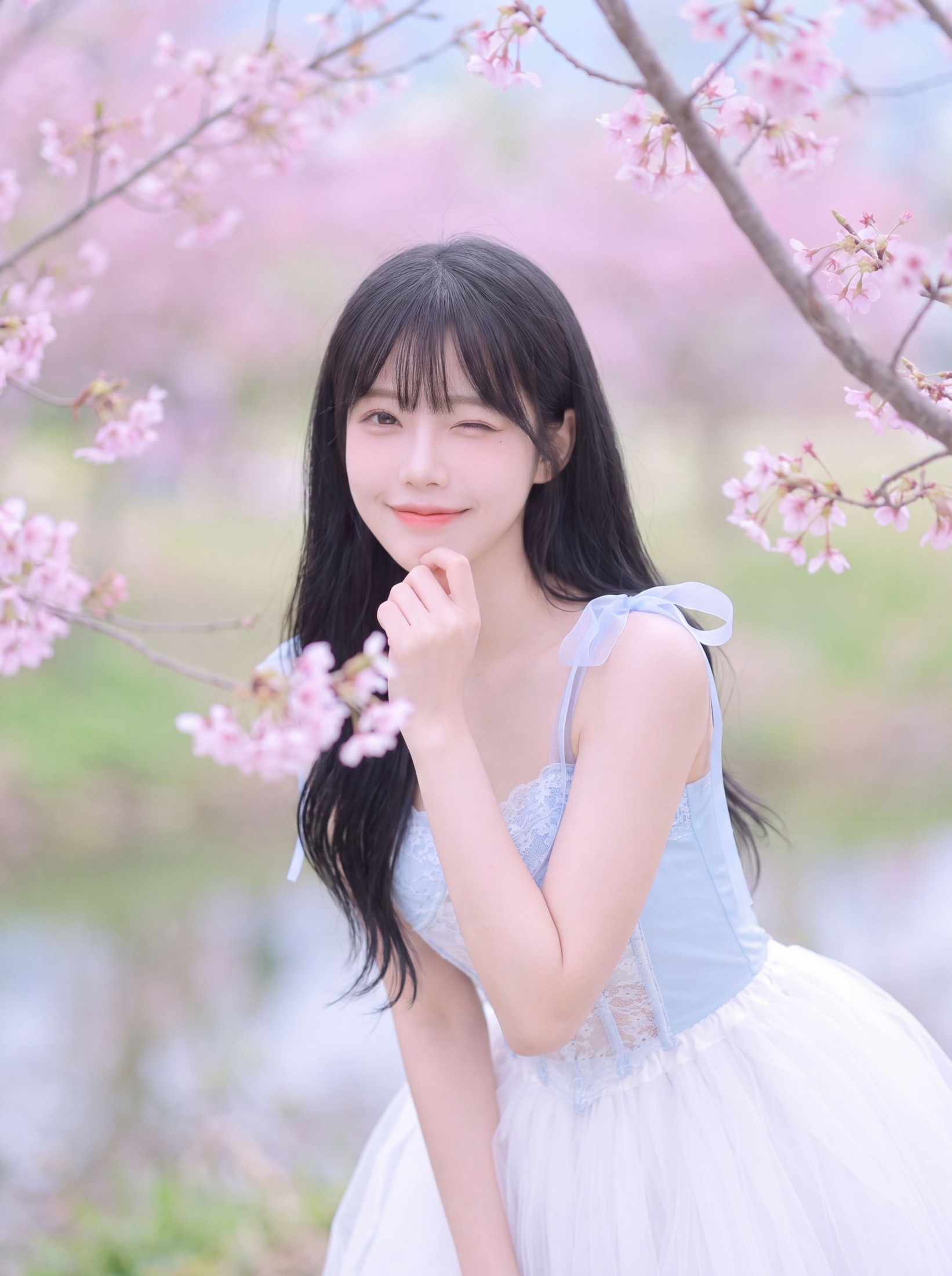 樱花雨