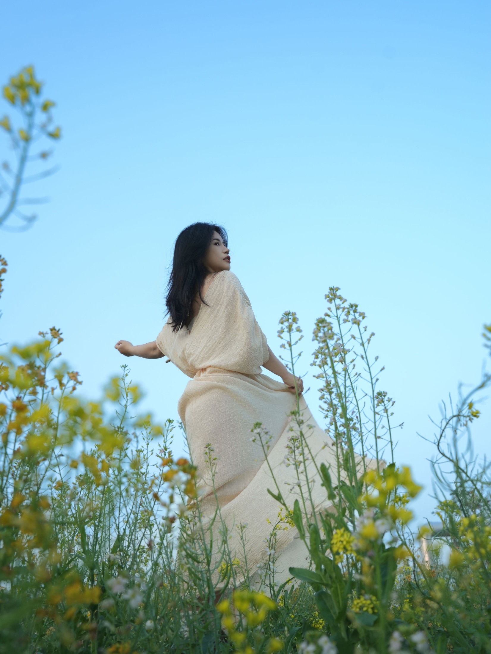 《油菜花里拍蓝调情绪风》[14P]